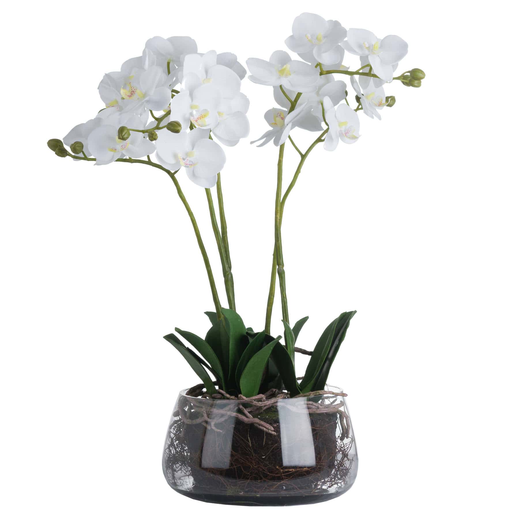 White Orchid In Glass Pot – Material: Plastic
