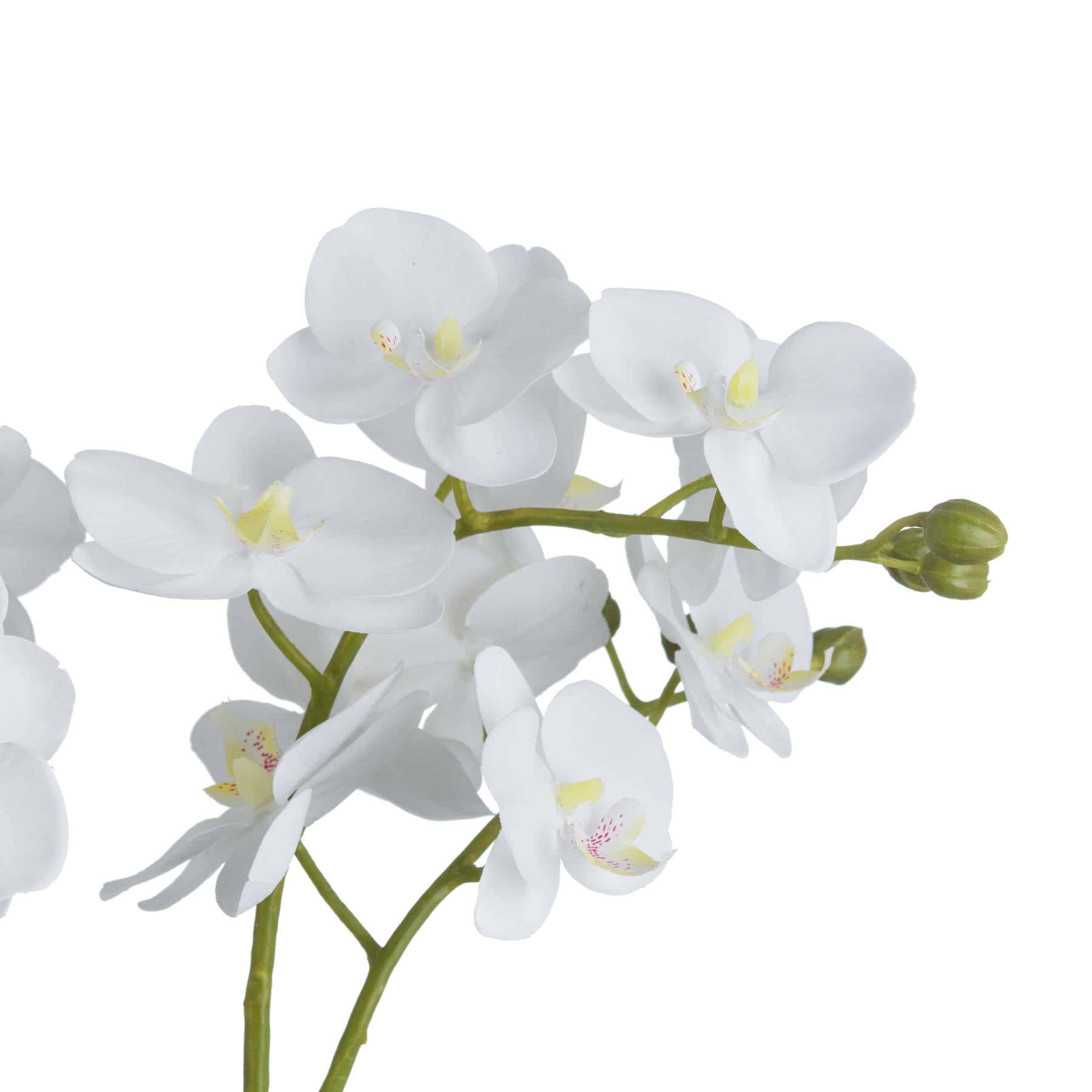 White Orchid In Glass Pot – Faux Flowers & Artificial Trees