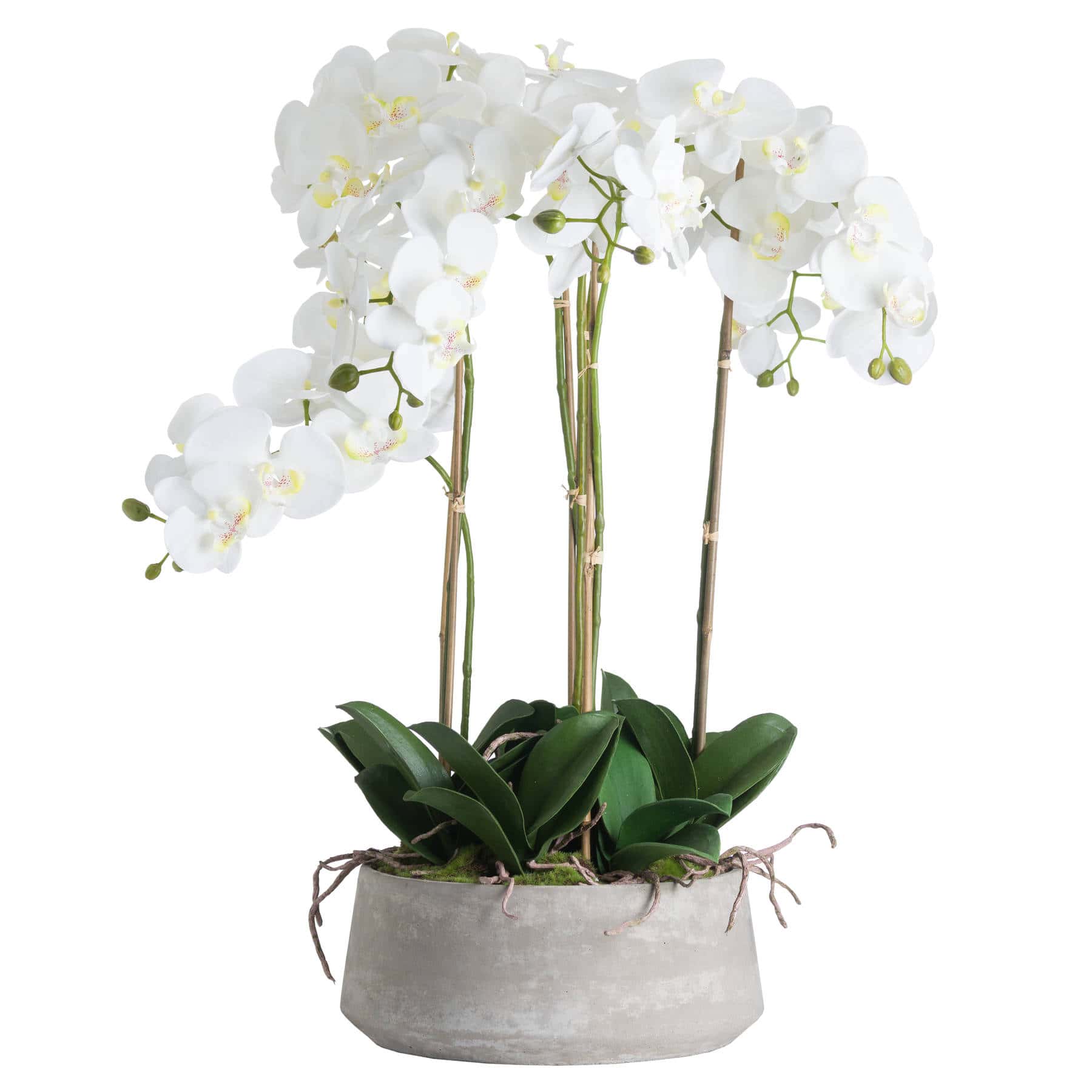 Large White Orchid In Stone Pot – Material: Plastic