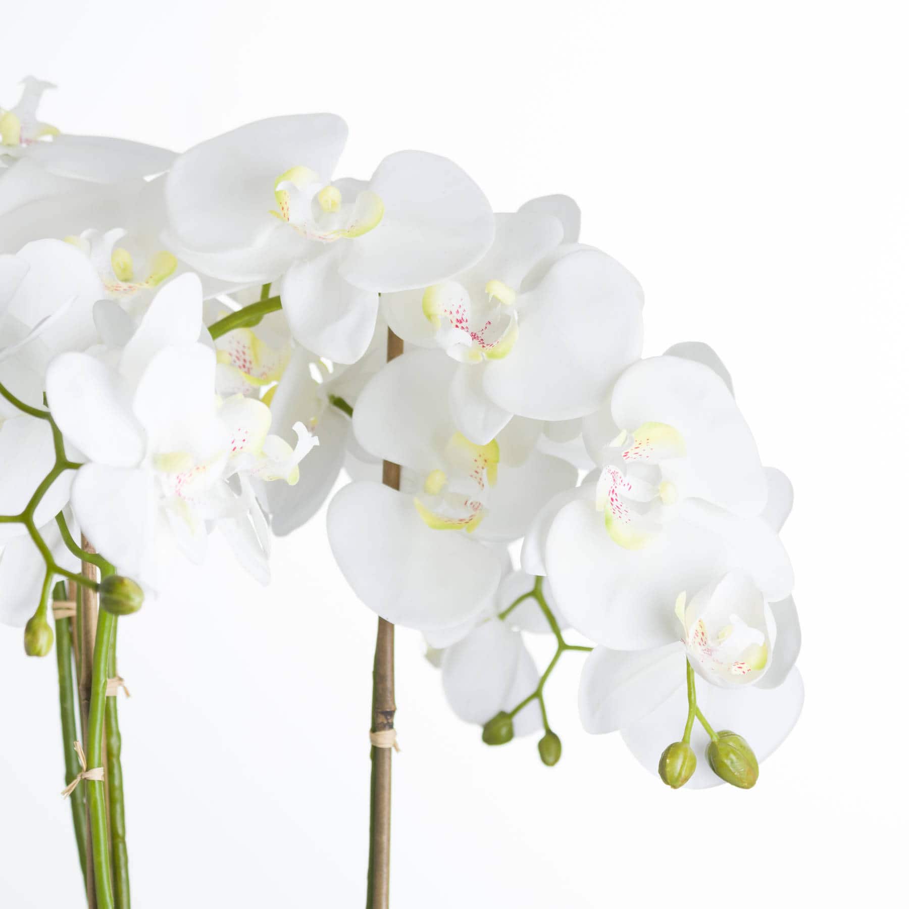 Large White Orchid In Stone Pot – Faux Flowers & Artificial Trees