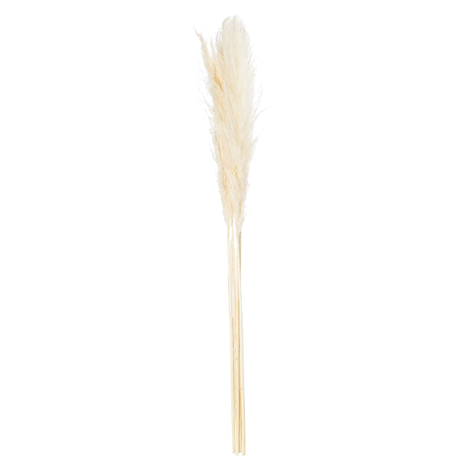 Cream Pampas Grass Stem - Image 2