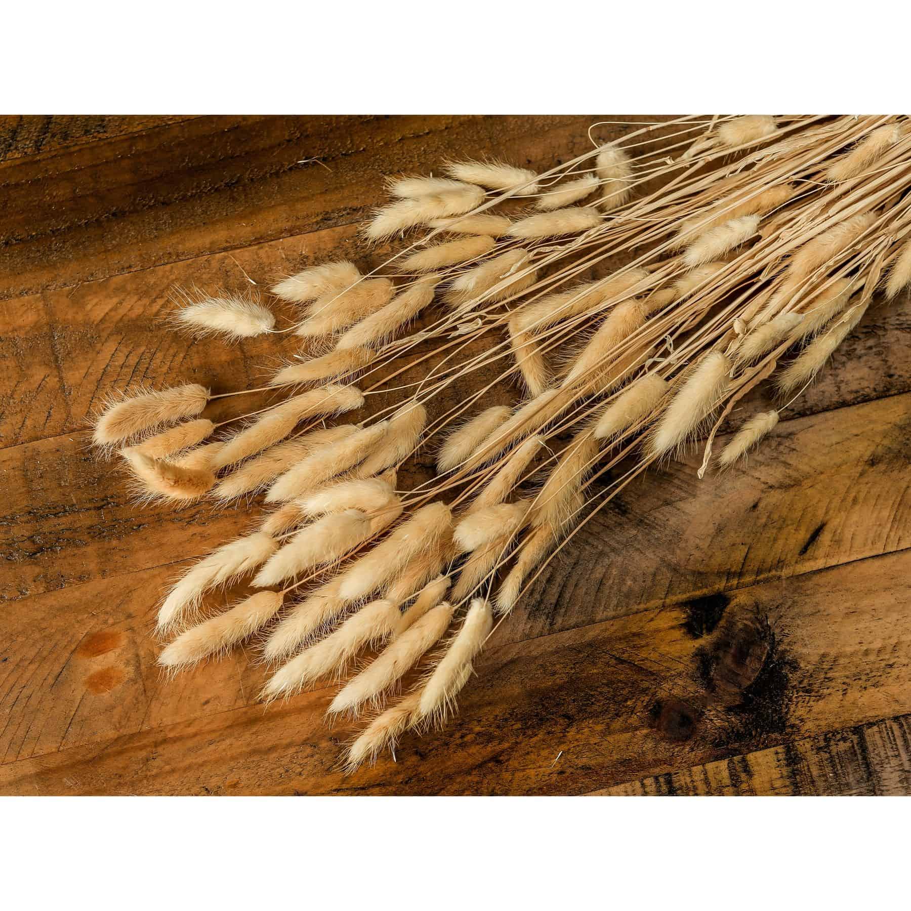 Bouquet Of Tall Bunny Tails - Image 3