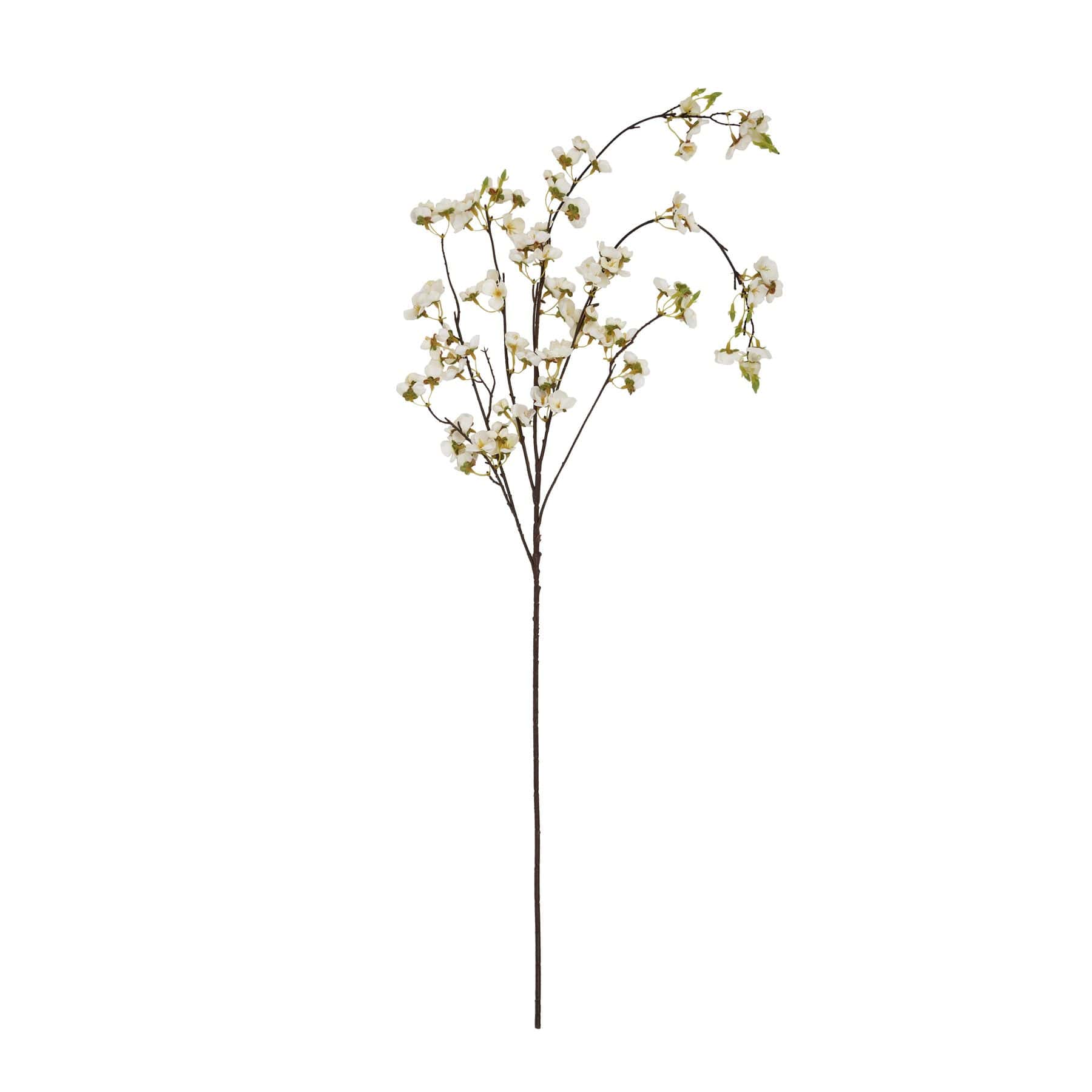 White Japanese Blossom – Additional view