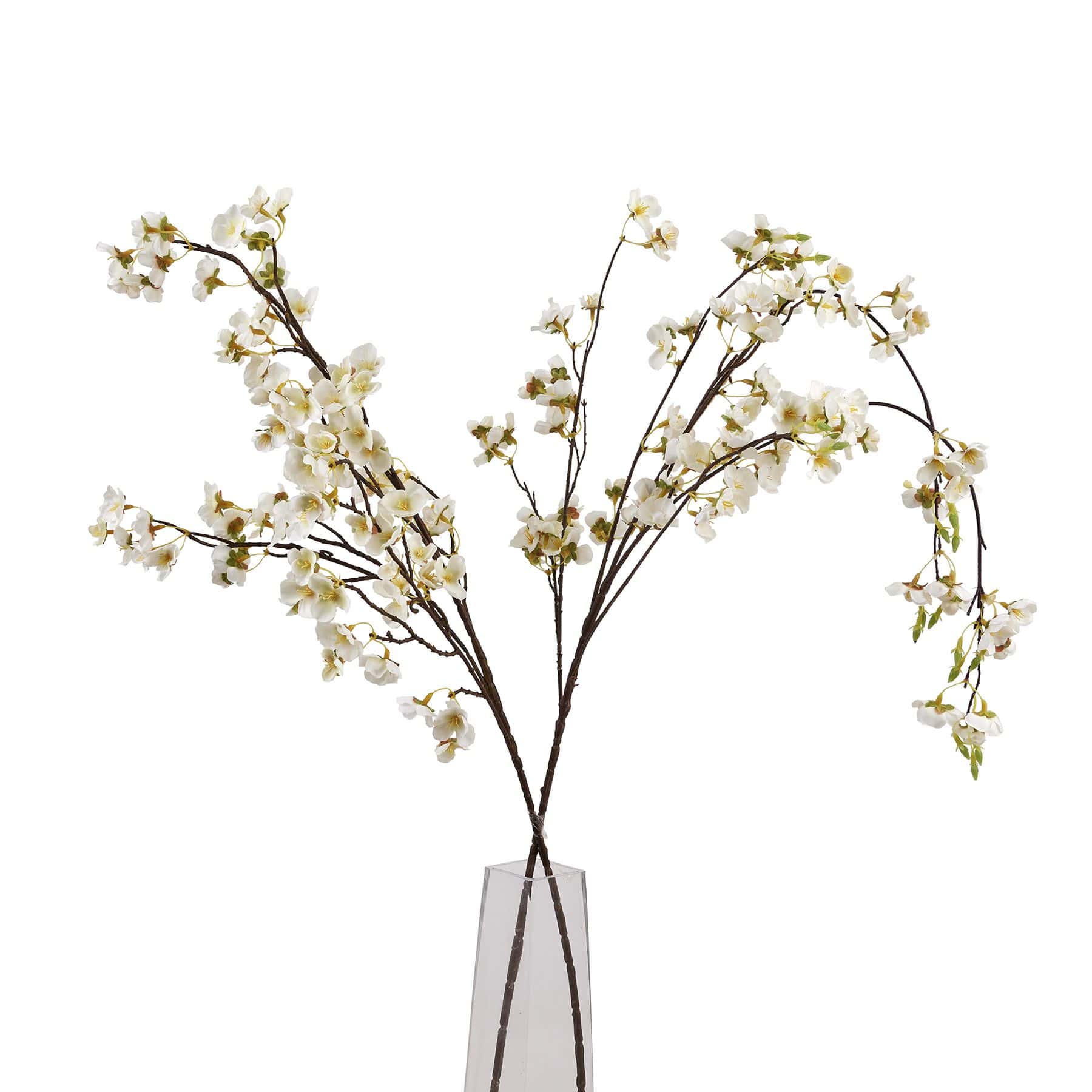 White Japanese Blossom – Additional view 2