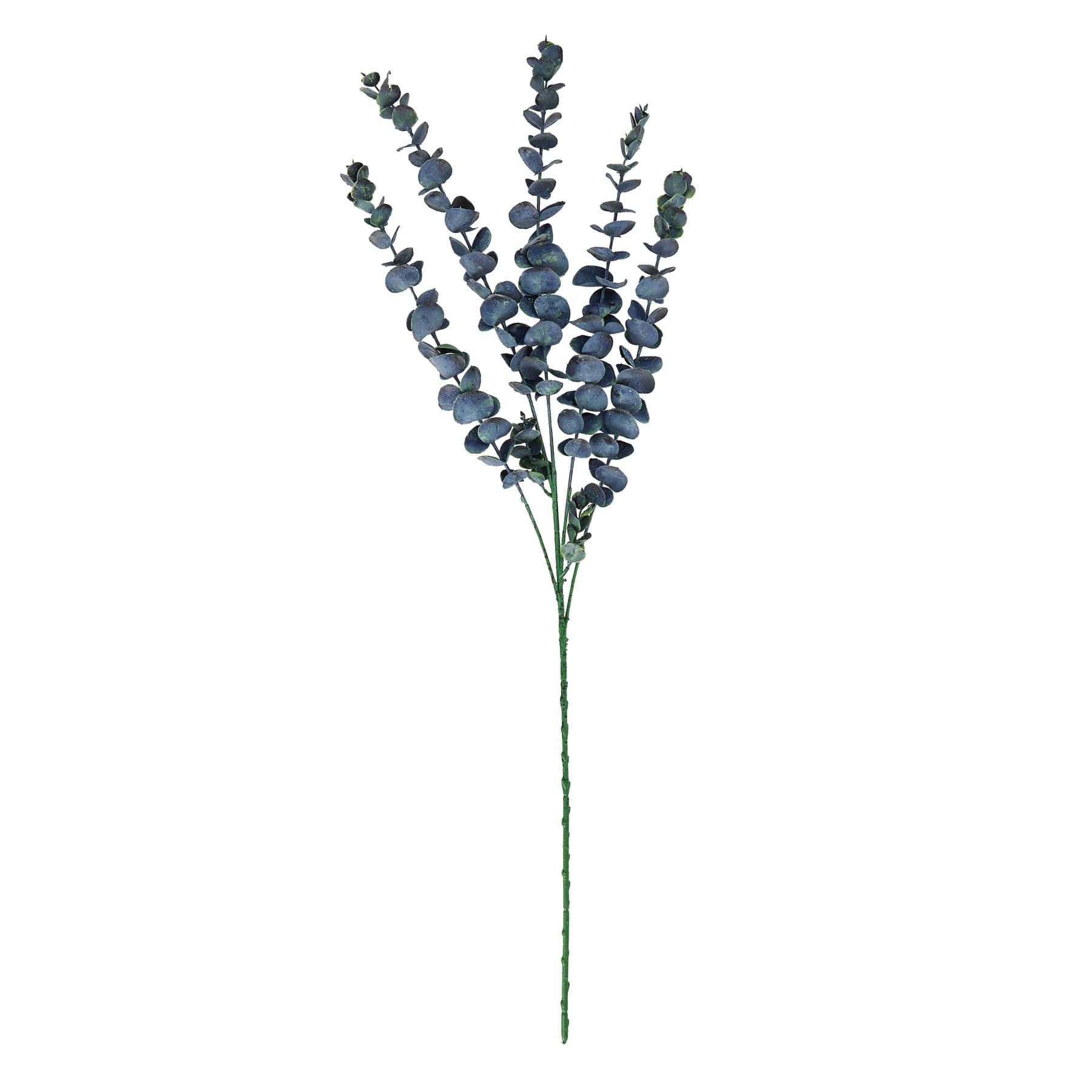 Large Blue Eucalyptus Stem - Image 3