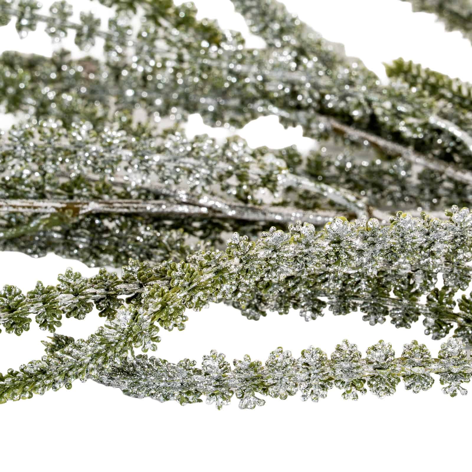 Festive Amaranthus – Christmas Decorations
