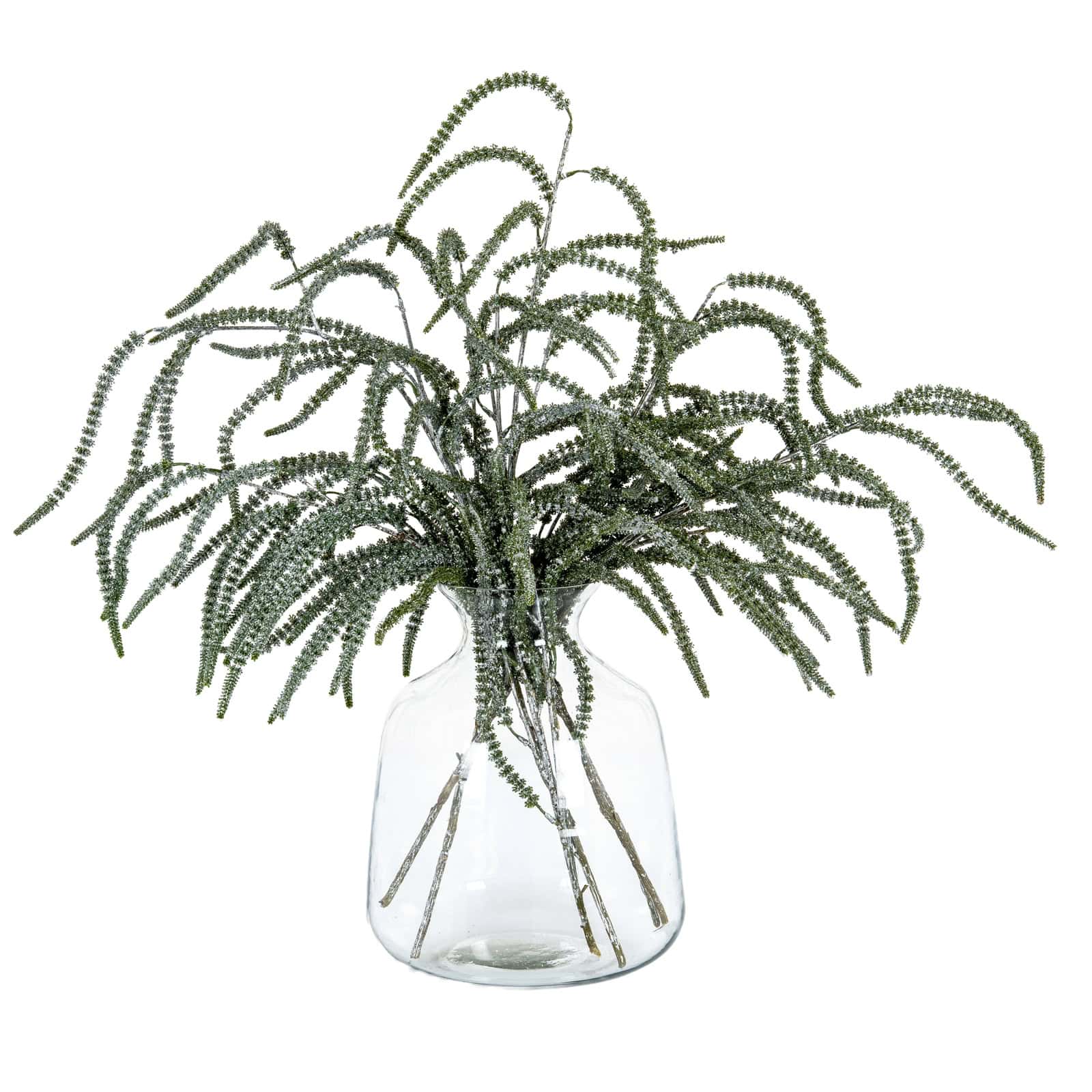 Festive Amaranthus – Additional view