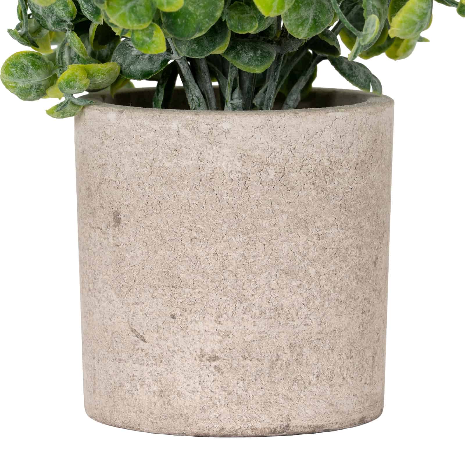 Eucalyptus Plant In Stone Effect Pot – Material: Plastic