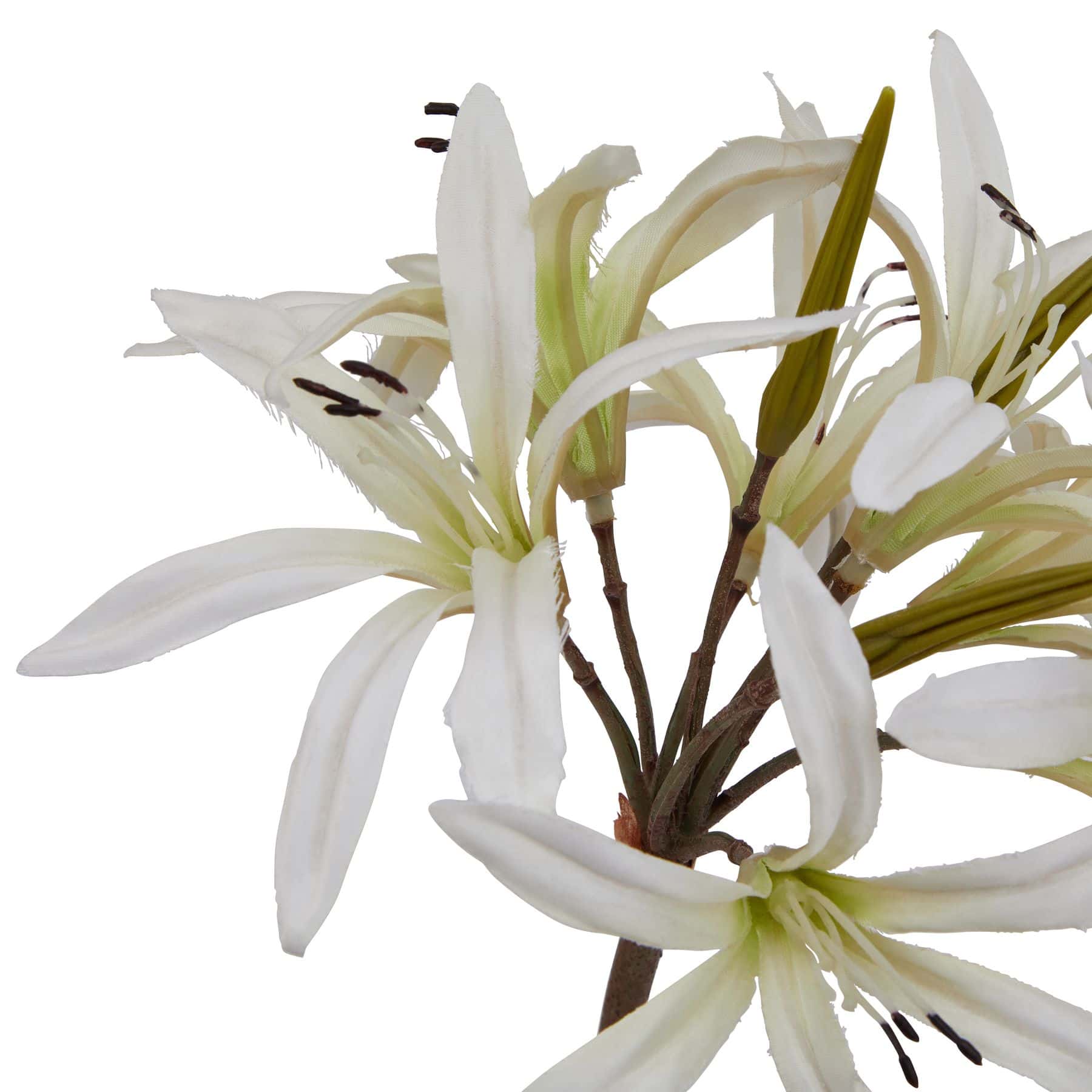 The Natural Garden Collection White Nerine Lily Stem - Image 2