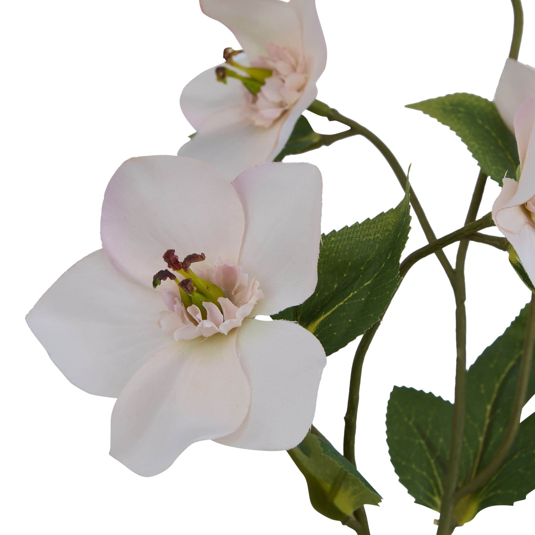 The Natural Garden Collection Pale Apricot Hellibore – Material: Fabric