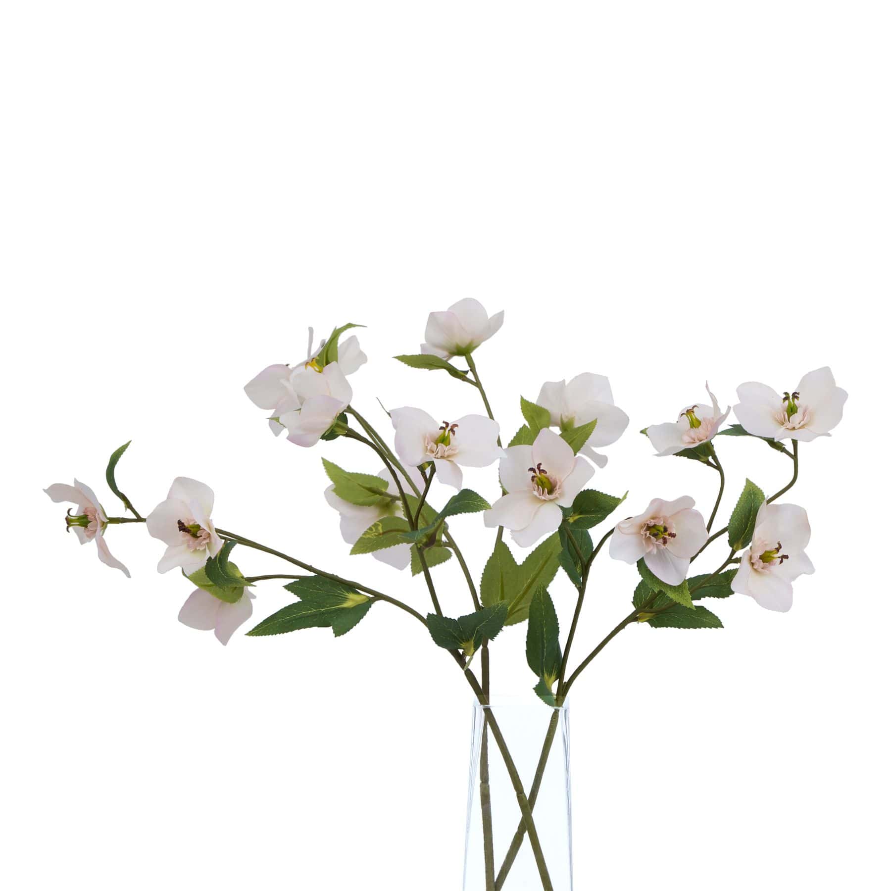 The Natural Garden Collection Pale Apricot Hellibore – Faux Flowers & Artificial Trees