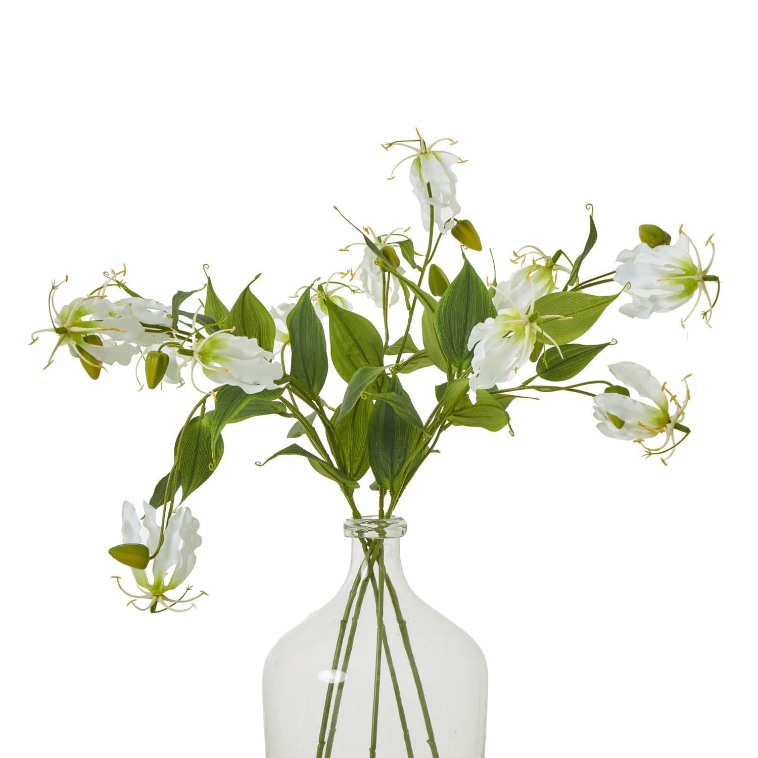 Cream Gloriosa Spray - Image 3