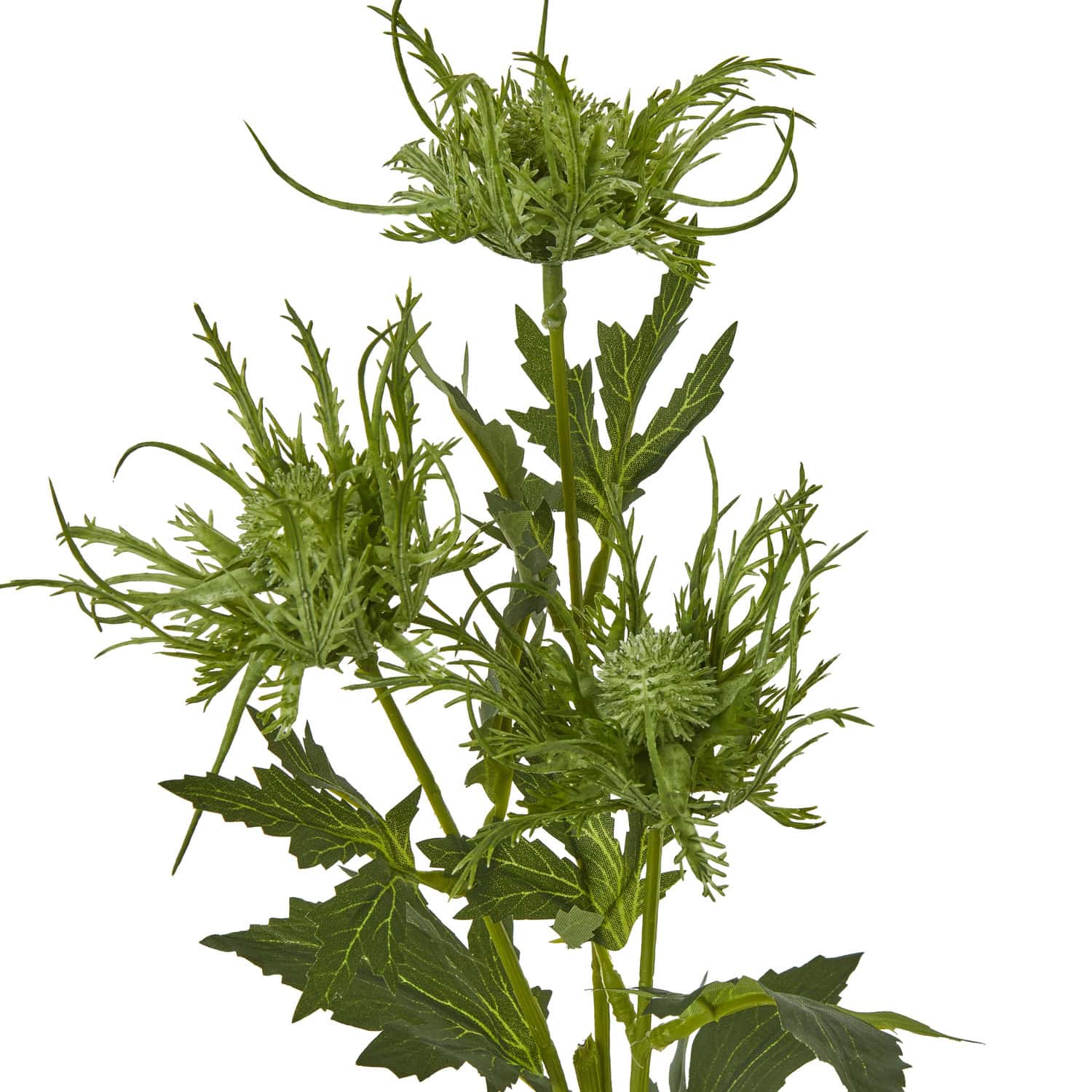 Green Sea Holly Spray - Image 2