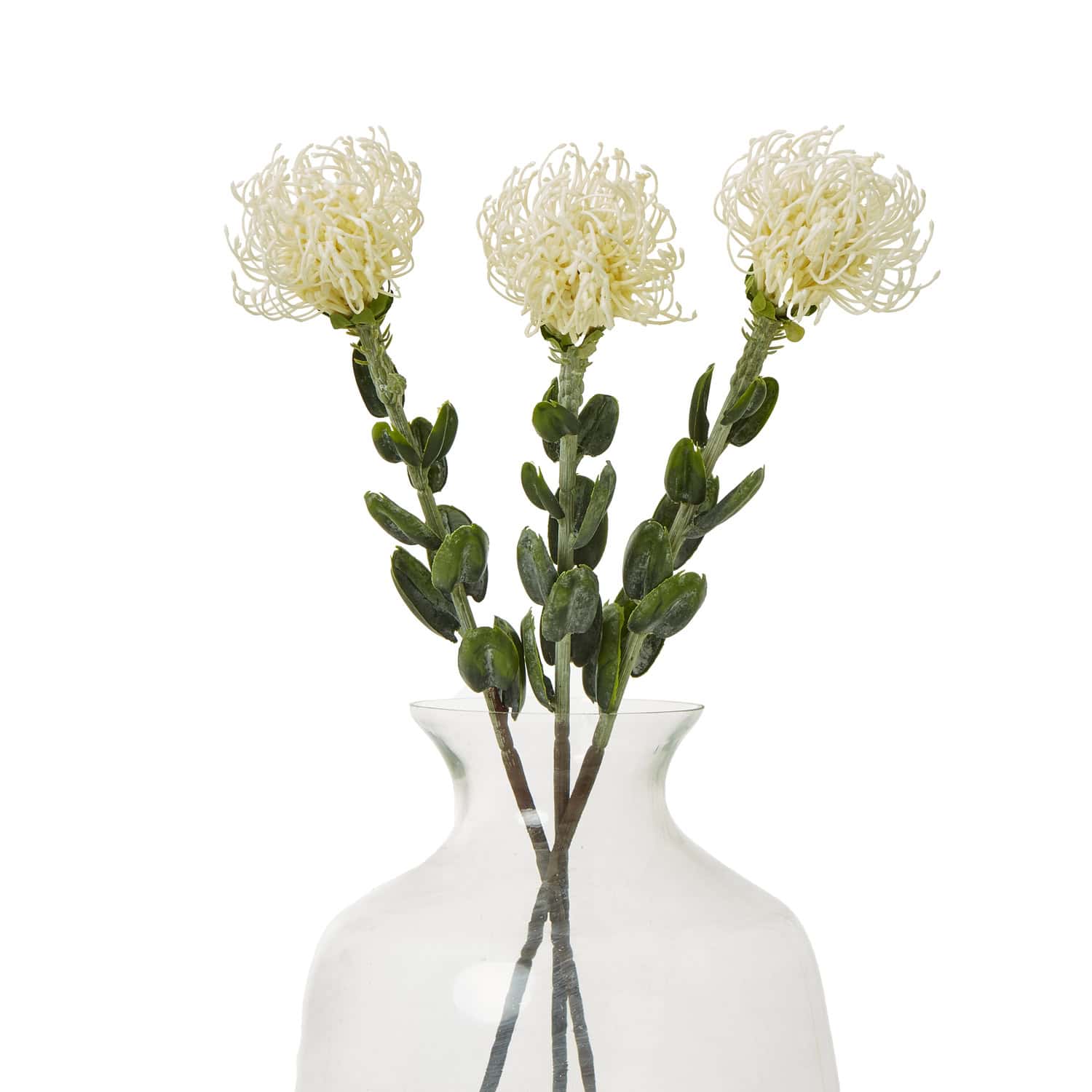 Cream Pincushion Protea Spray - Image 3