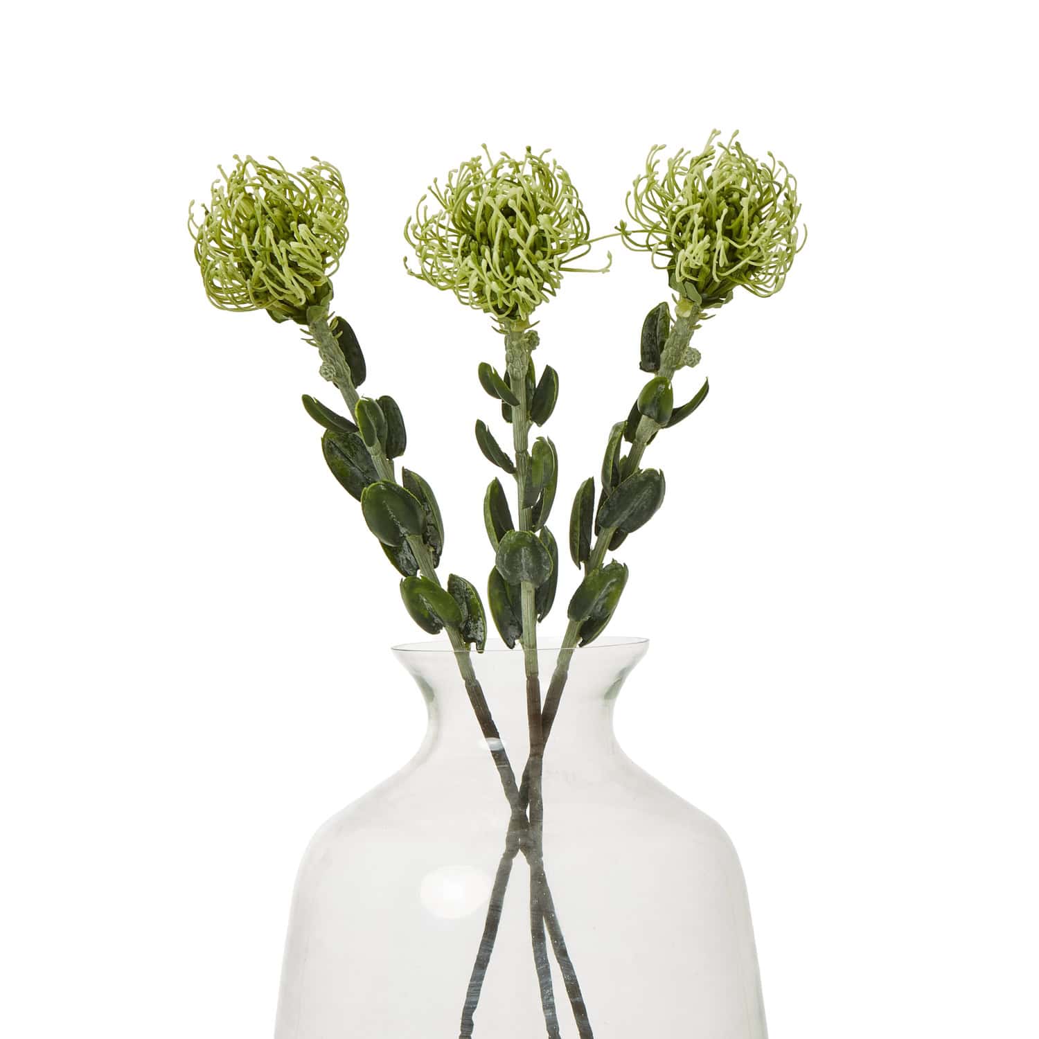 Green Pincushion Protea Spray - Image 3