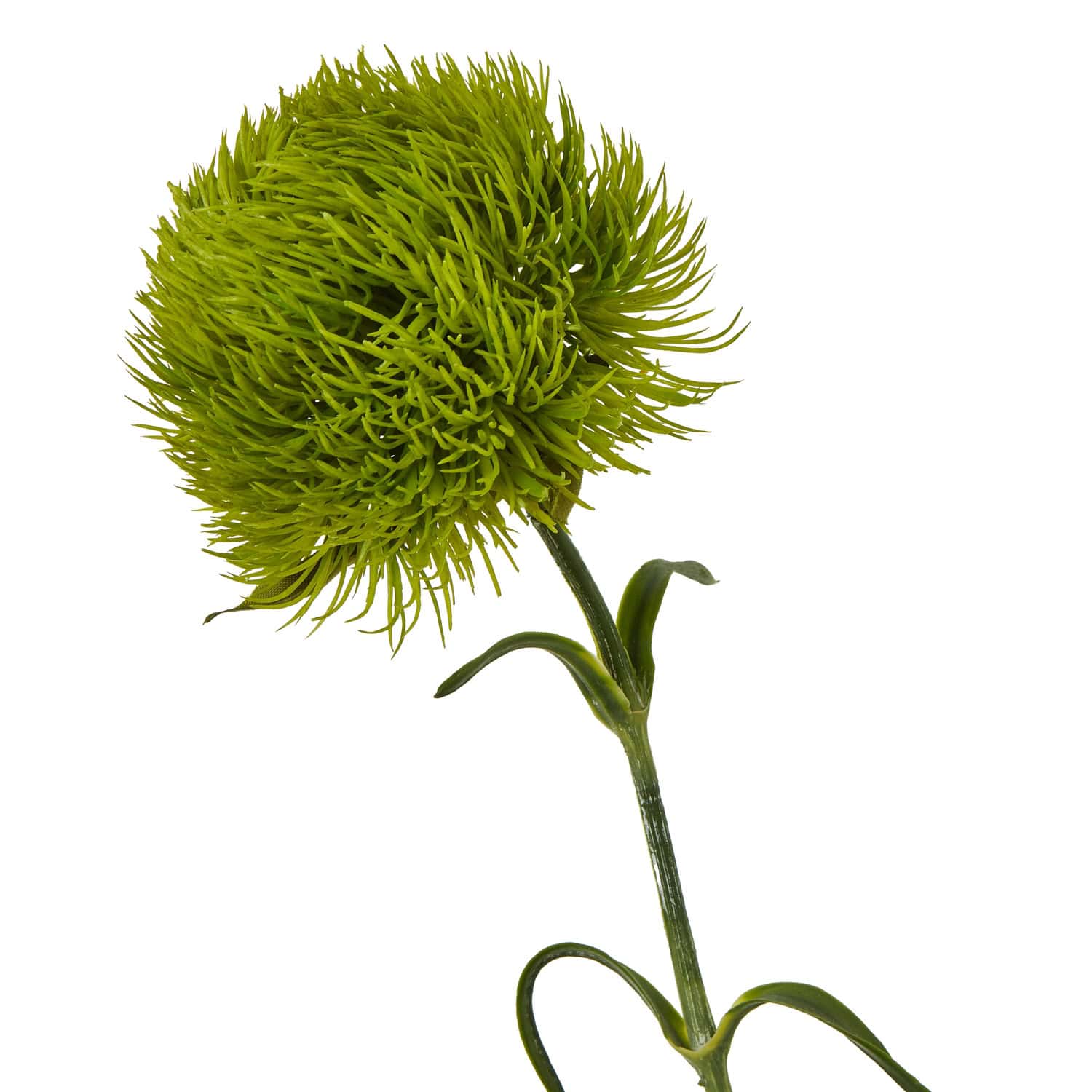 Light Green Dianthus Stem - Image 2