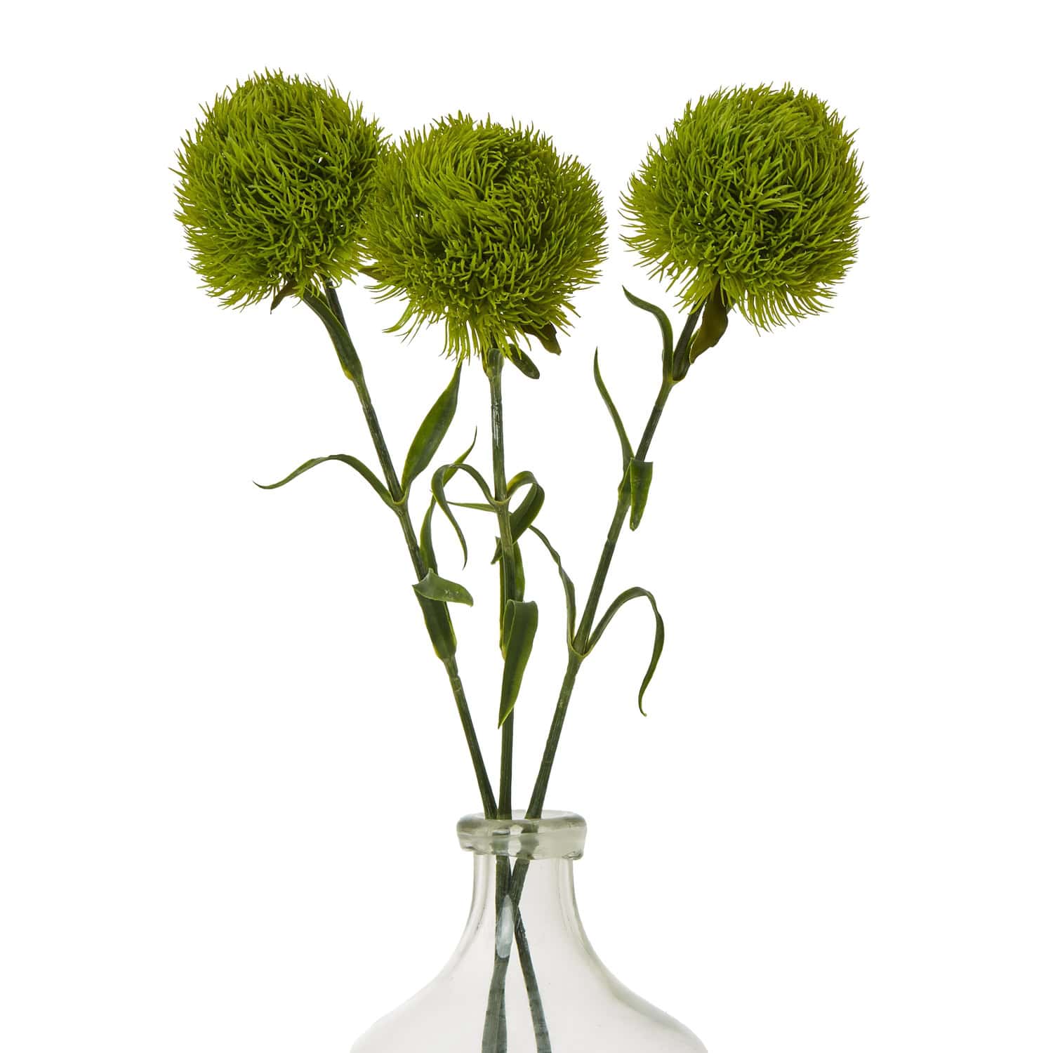 Light Green Dianthus Stem - Image 3