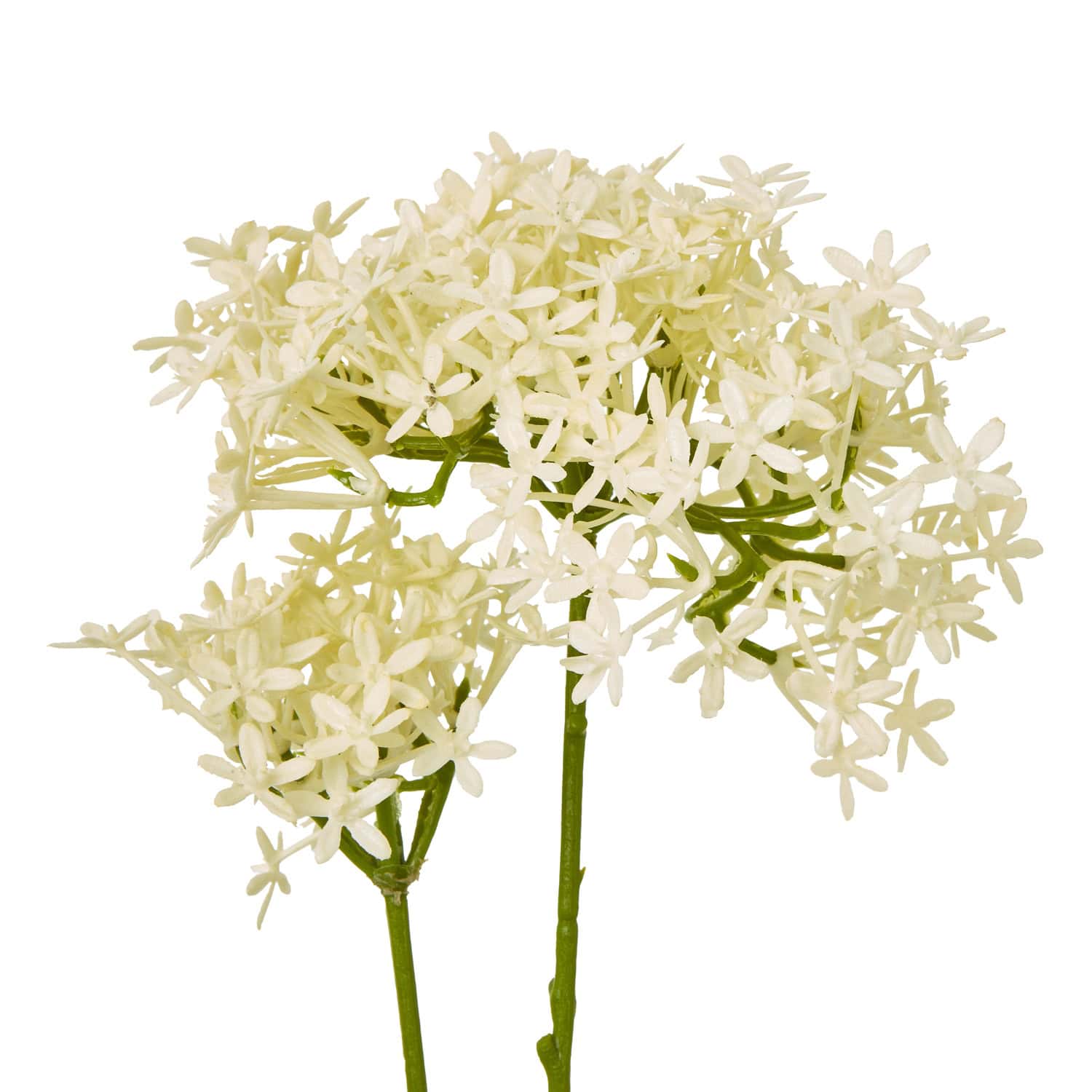 Cream Crown Hydrangea Stem - Image 2