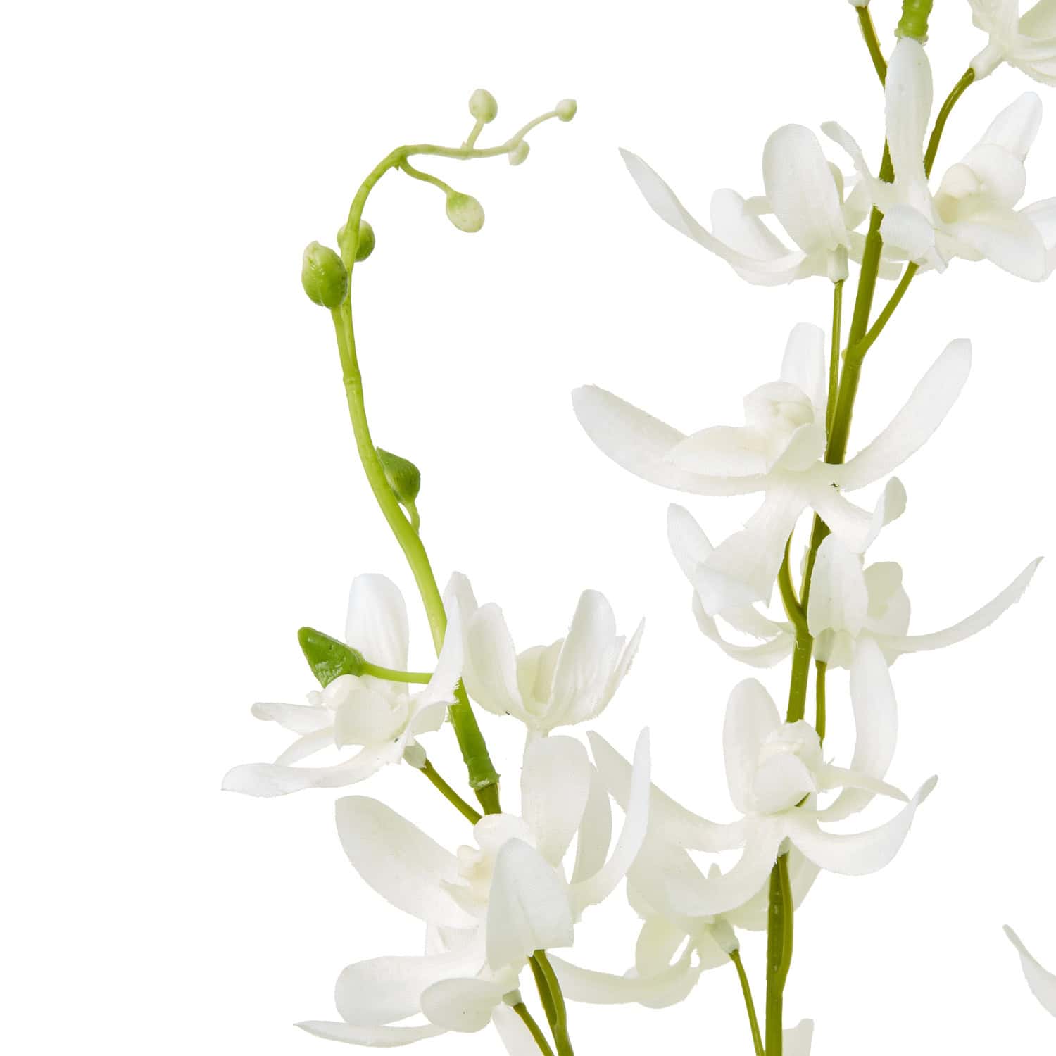 White Cymbidium Spray - Image 2