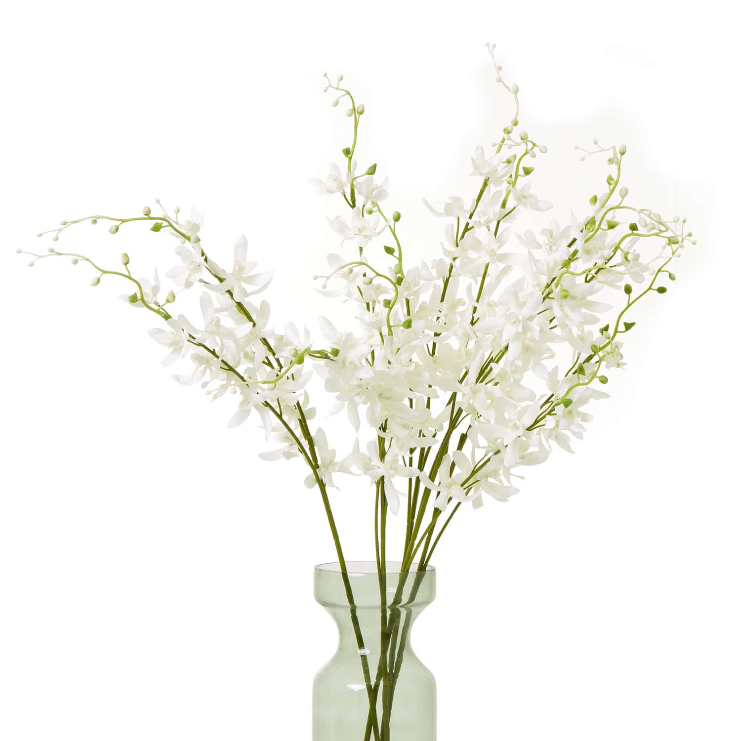 White Cymbidium Spray - Image 3