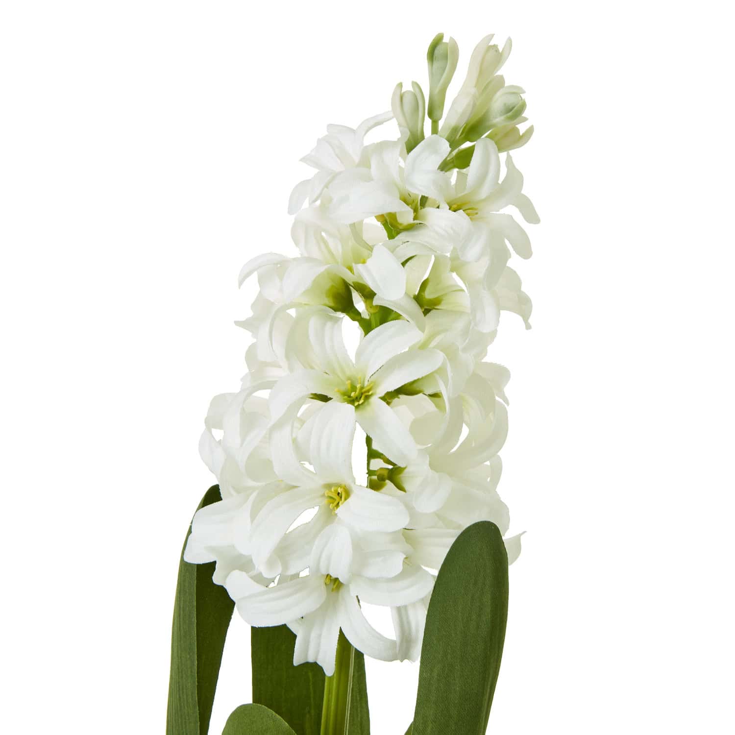 White Hyacinth Stem - Image 2