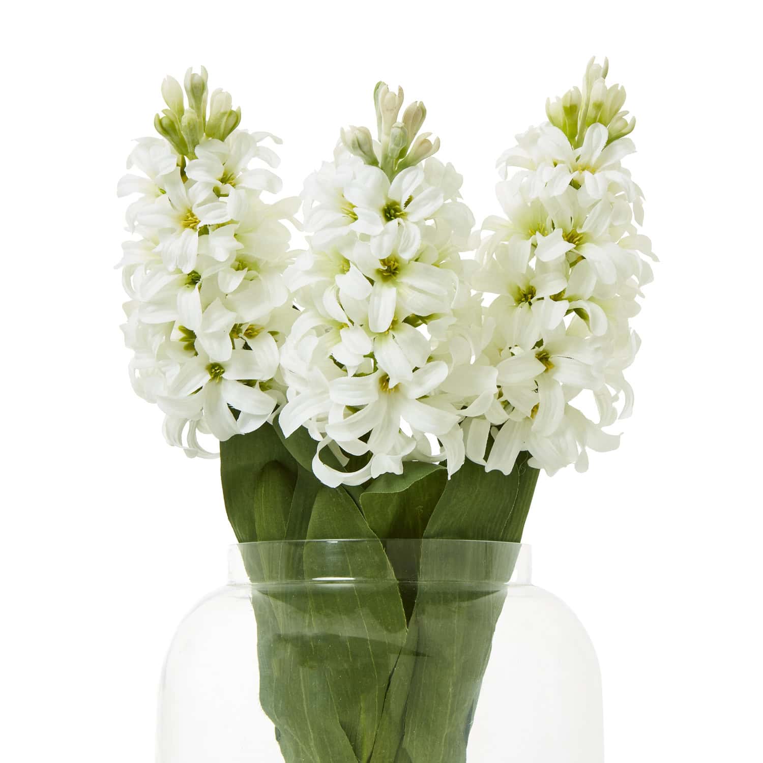 White Hyacinth Stem - Image 3