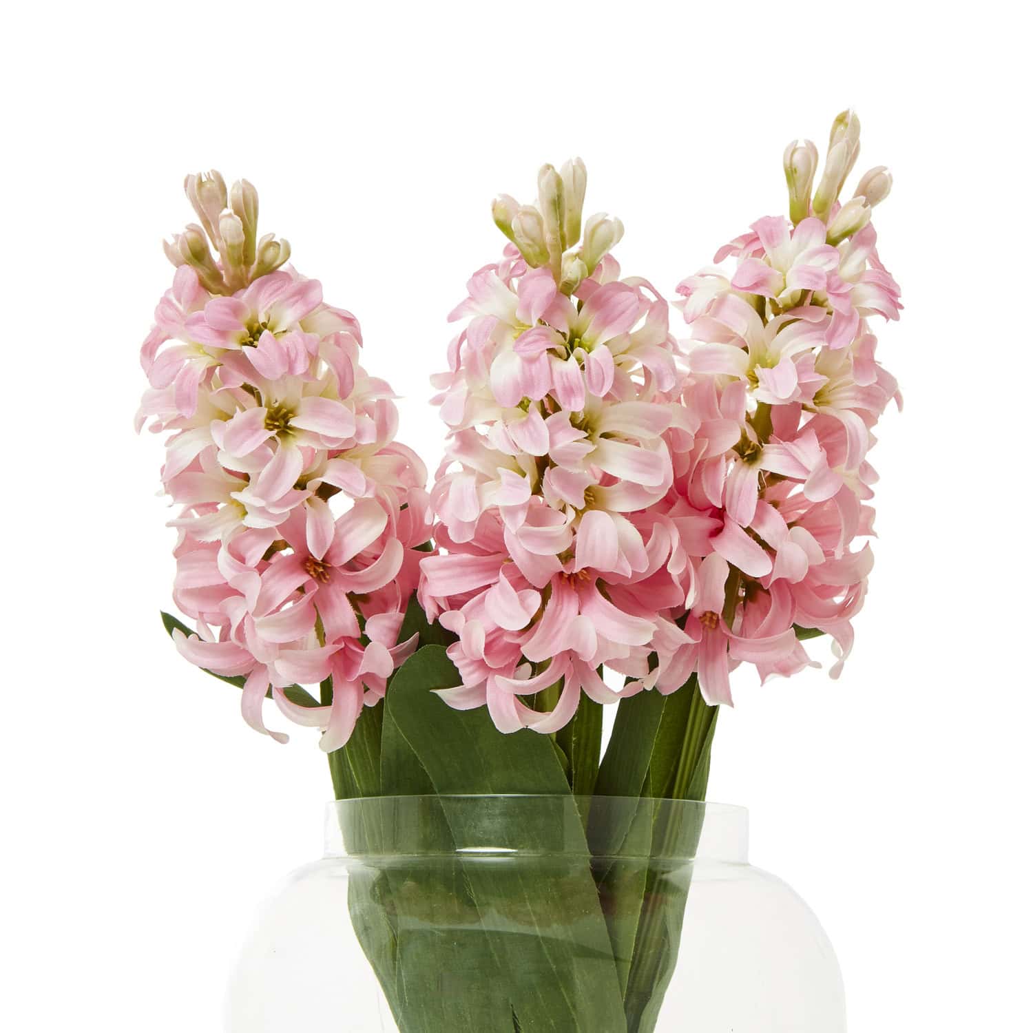 Pink Hyacinth Stem - Image 3