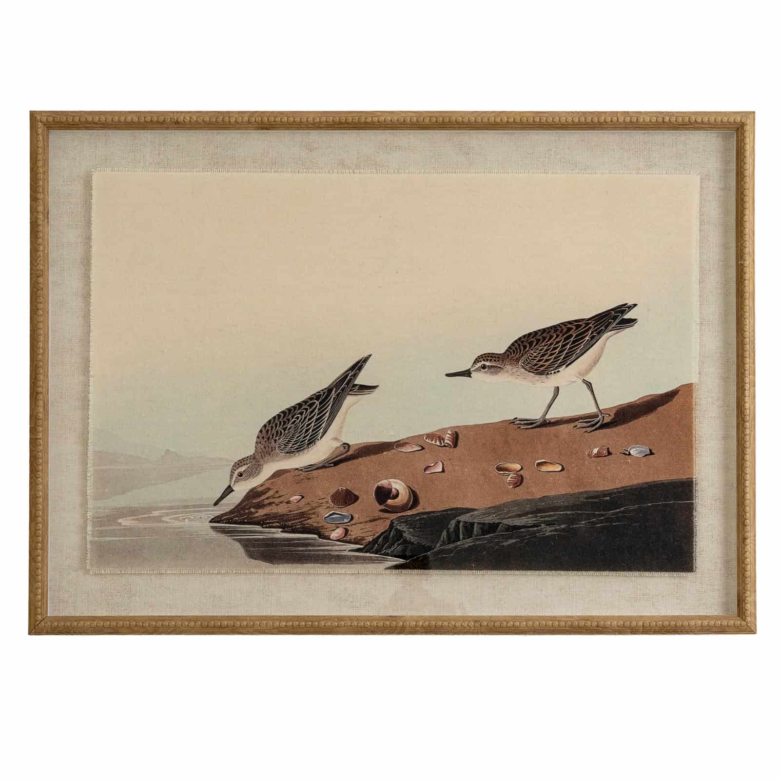 Flora & Fauna Collection Stints On Linen In Beaded Frame