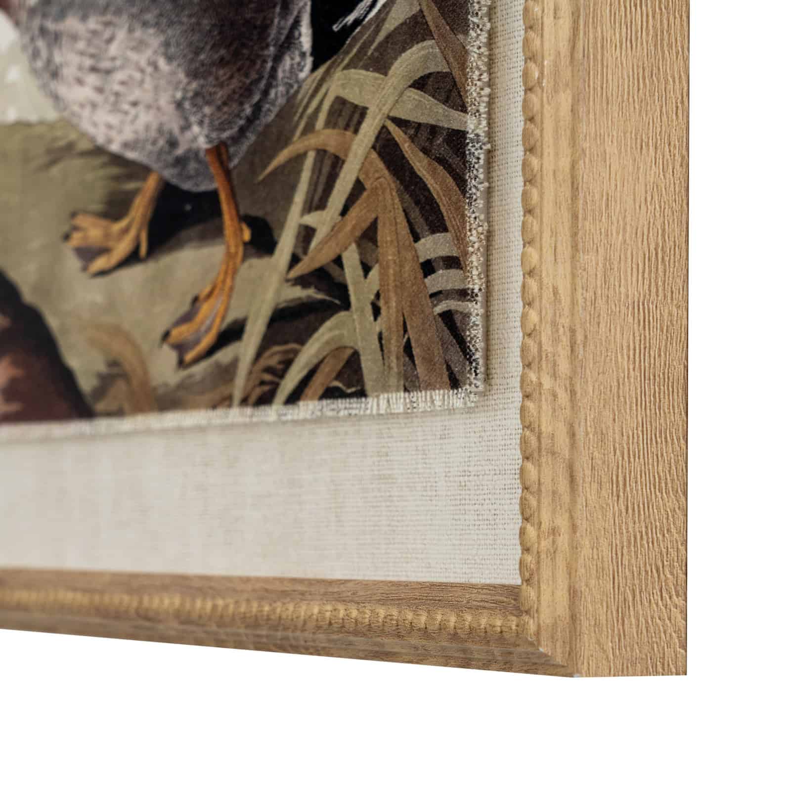 Flora & Fauna Collection Duck On Linen In Beaded Frame – Colour: Brown