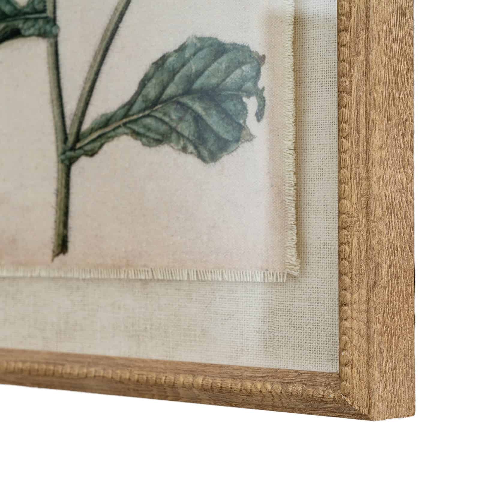 Flora & Fauna Collection Borage On Linen In Beaded Frame – Colour: Brown