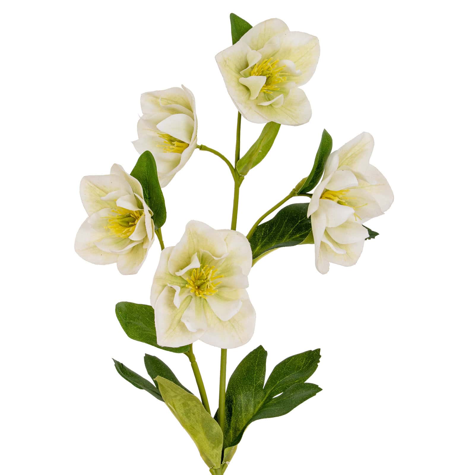 White Hellebore Stem – Material: Plastic