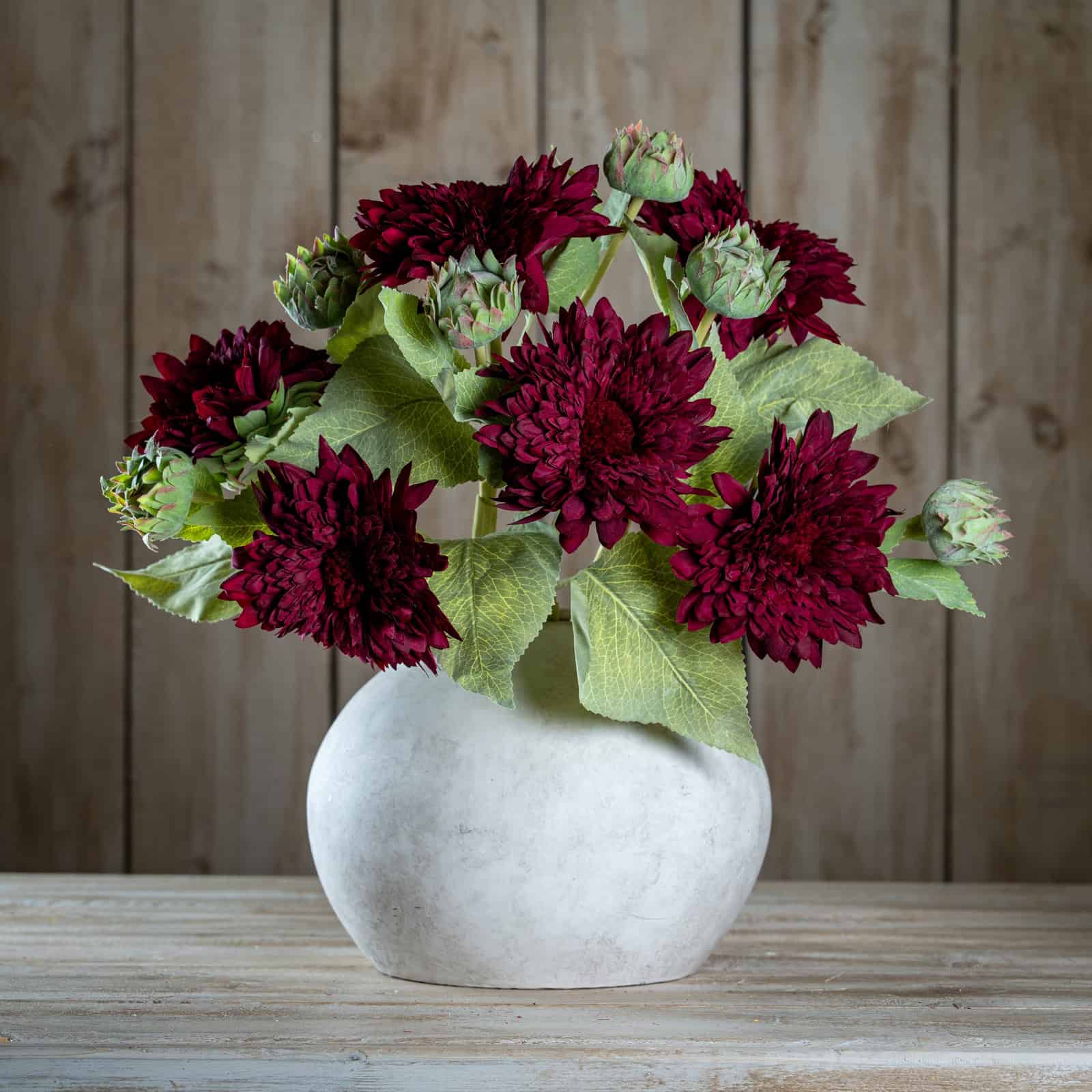 Dahlia Burgundy Raven Stem – Colour: Green