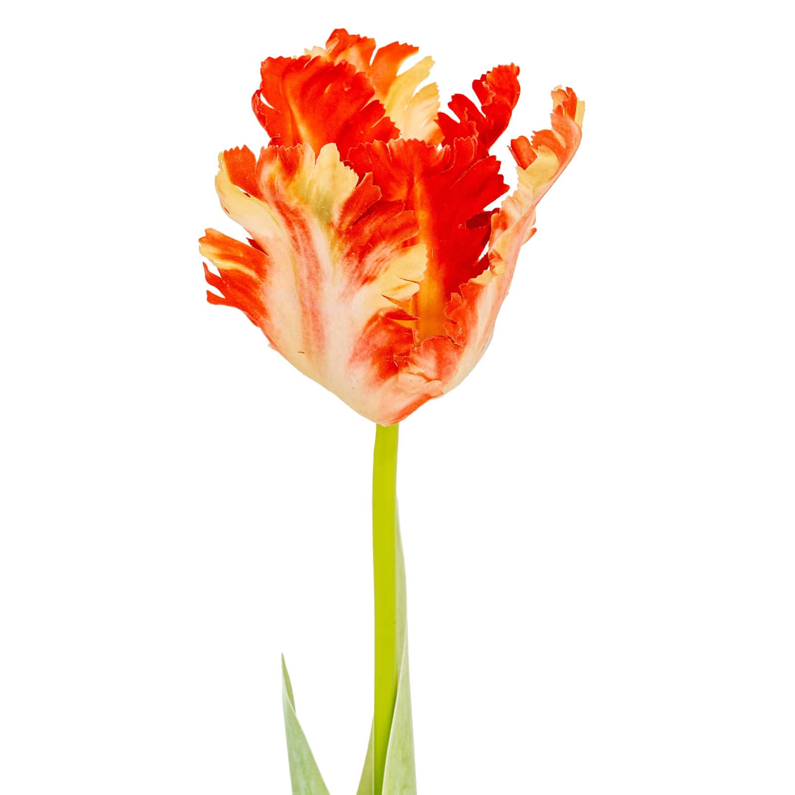 Flame Orange Parrot Tulip – Material: Plastic