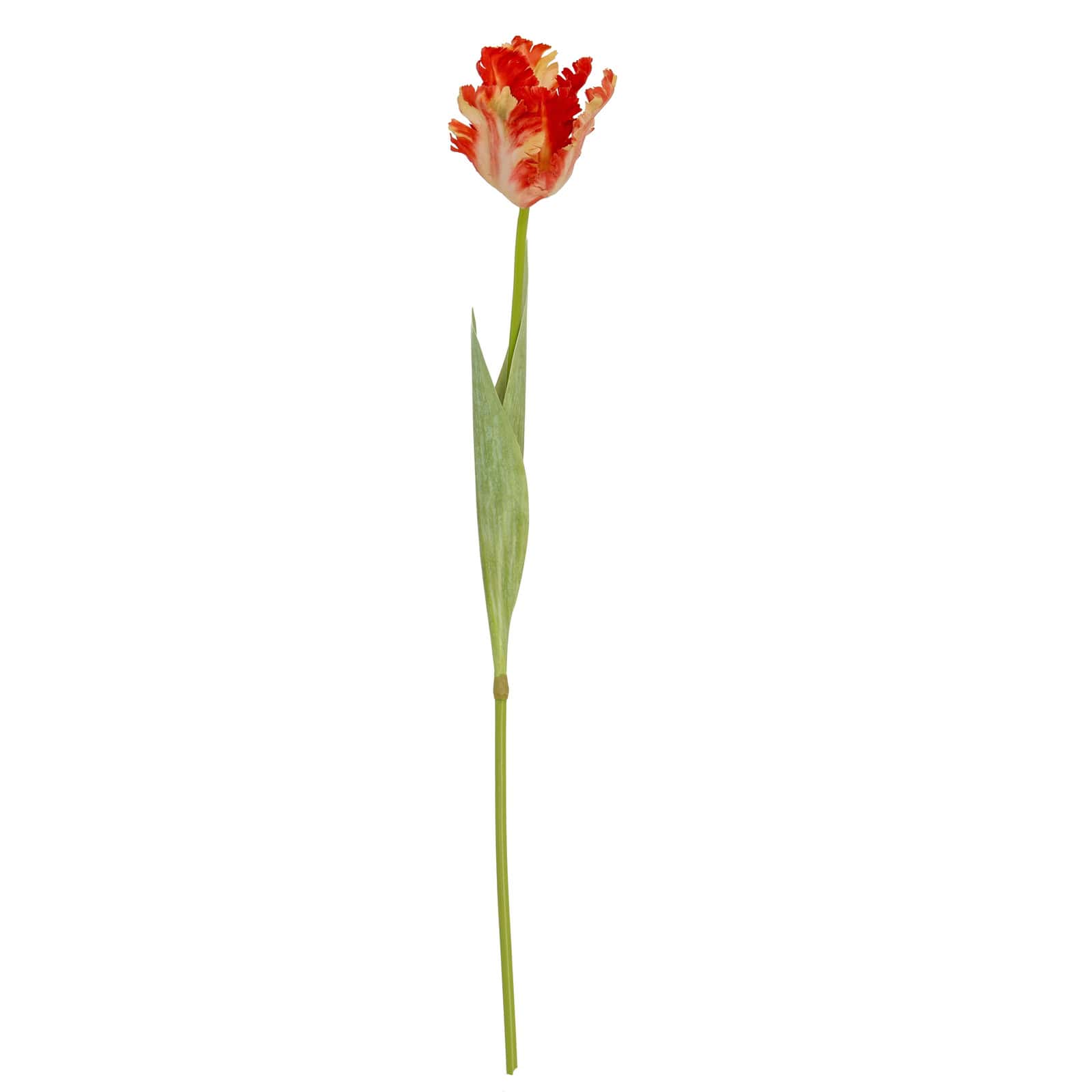Flame Orange Parrot Tulip – Faux Flowers & Artificial Trees