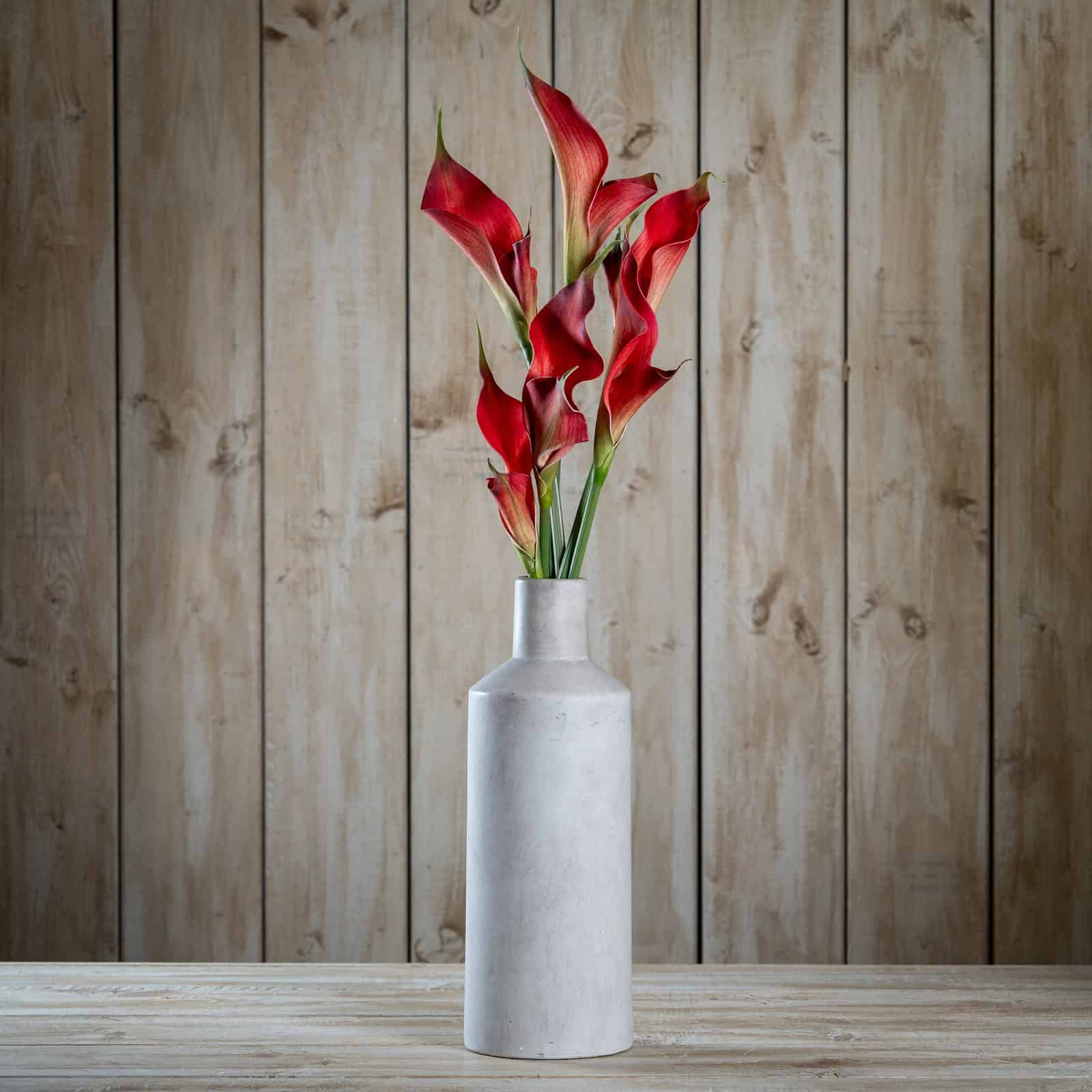Fireball Calla Lily – Colour: Red