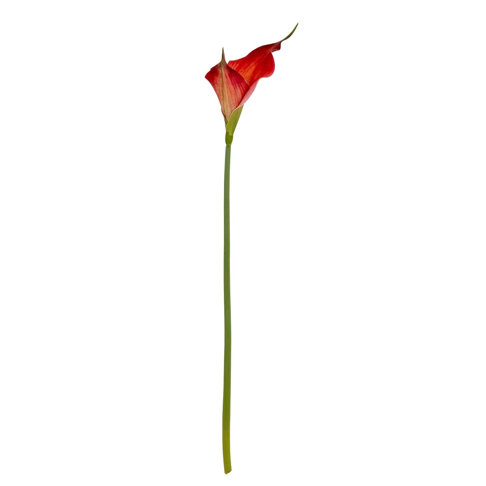 Fireball Calla Lily – Faux Flowers & Artificial Trees