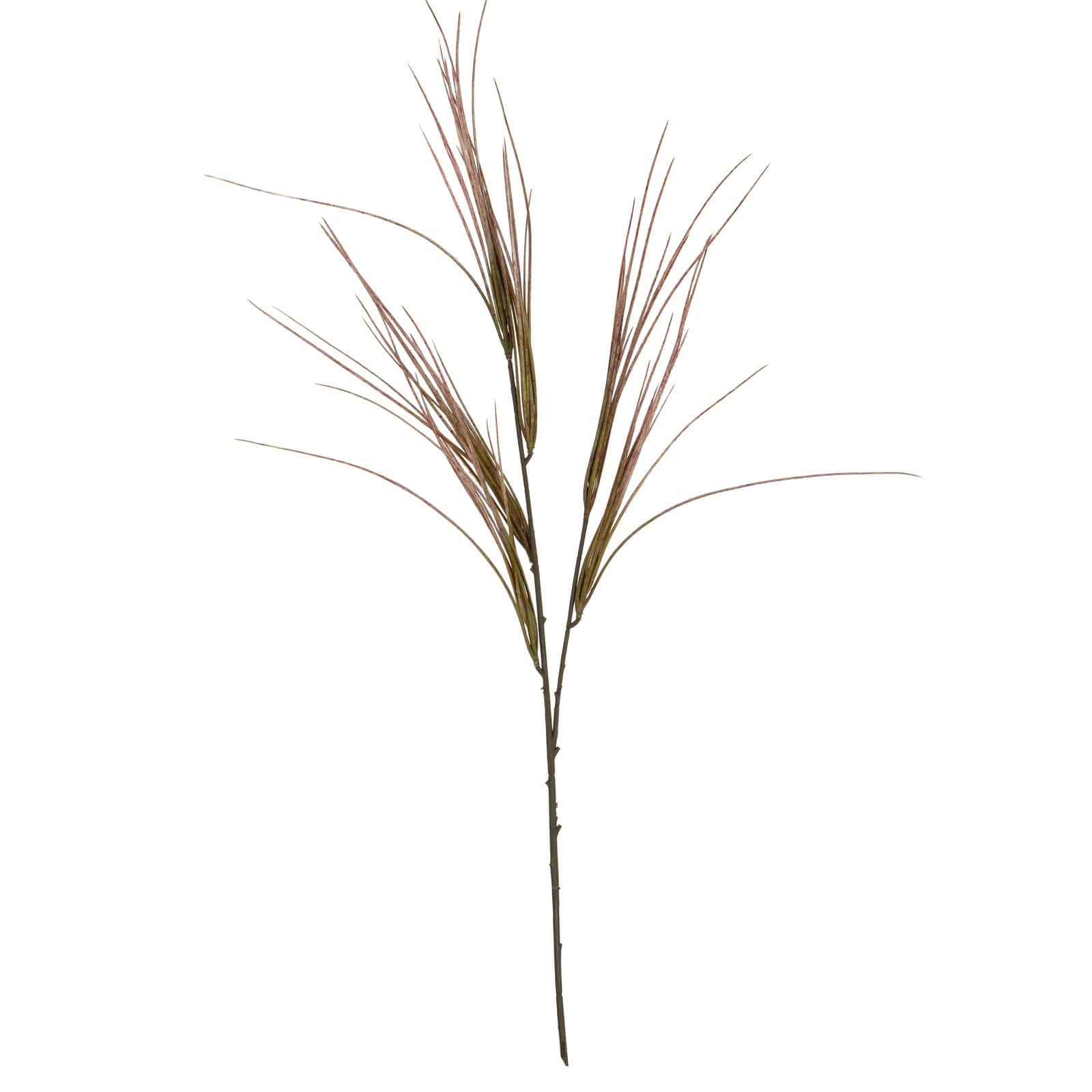 Brome Grass Spray – Colour: Green