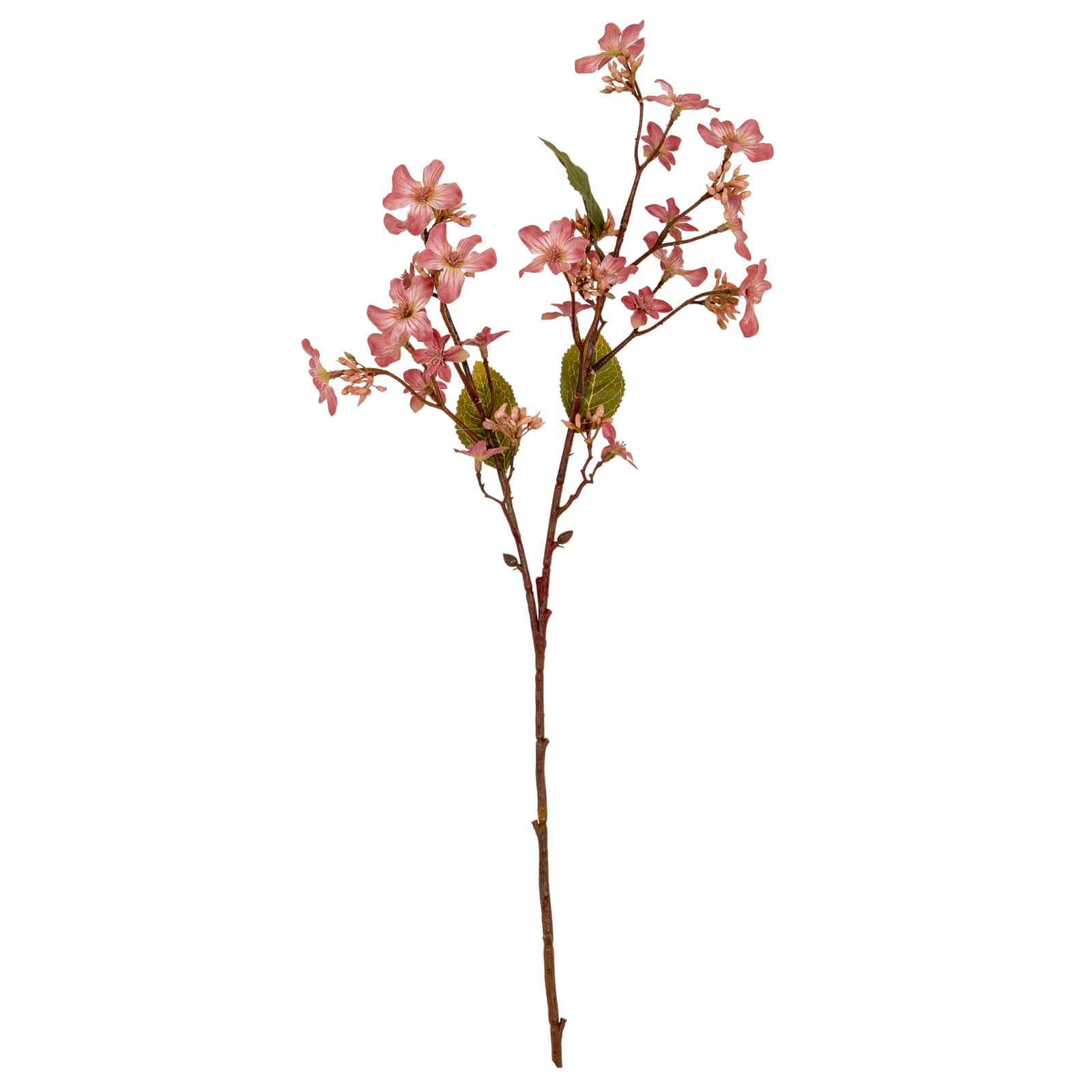 Pink Vernicia Fordii Spray – Material: Plastic