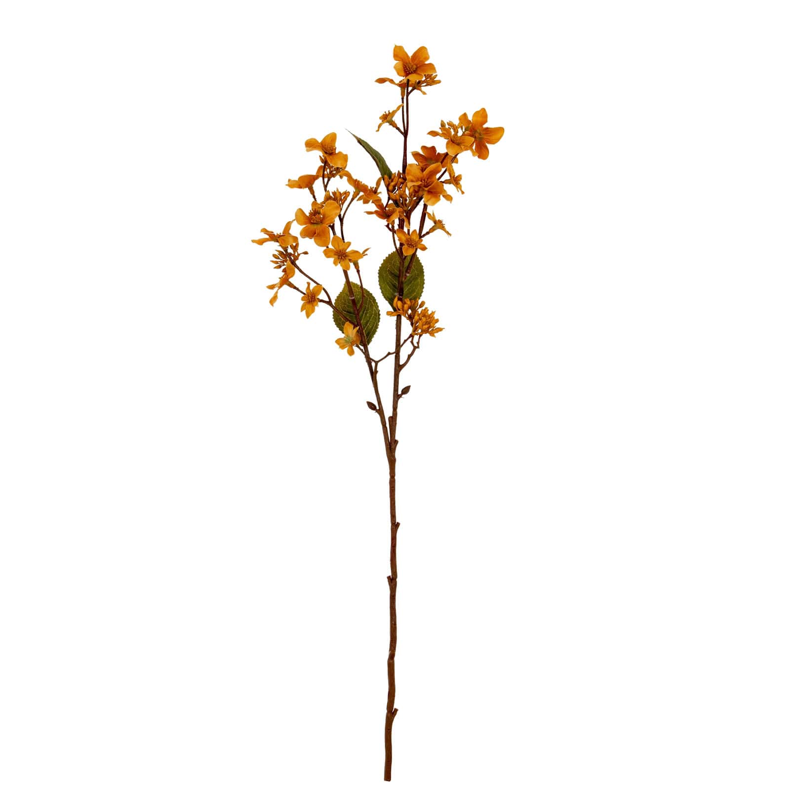 Yellow Vernicia Fordii Spray – Material: Plastic