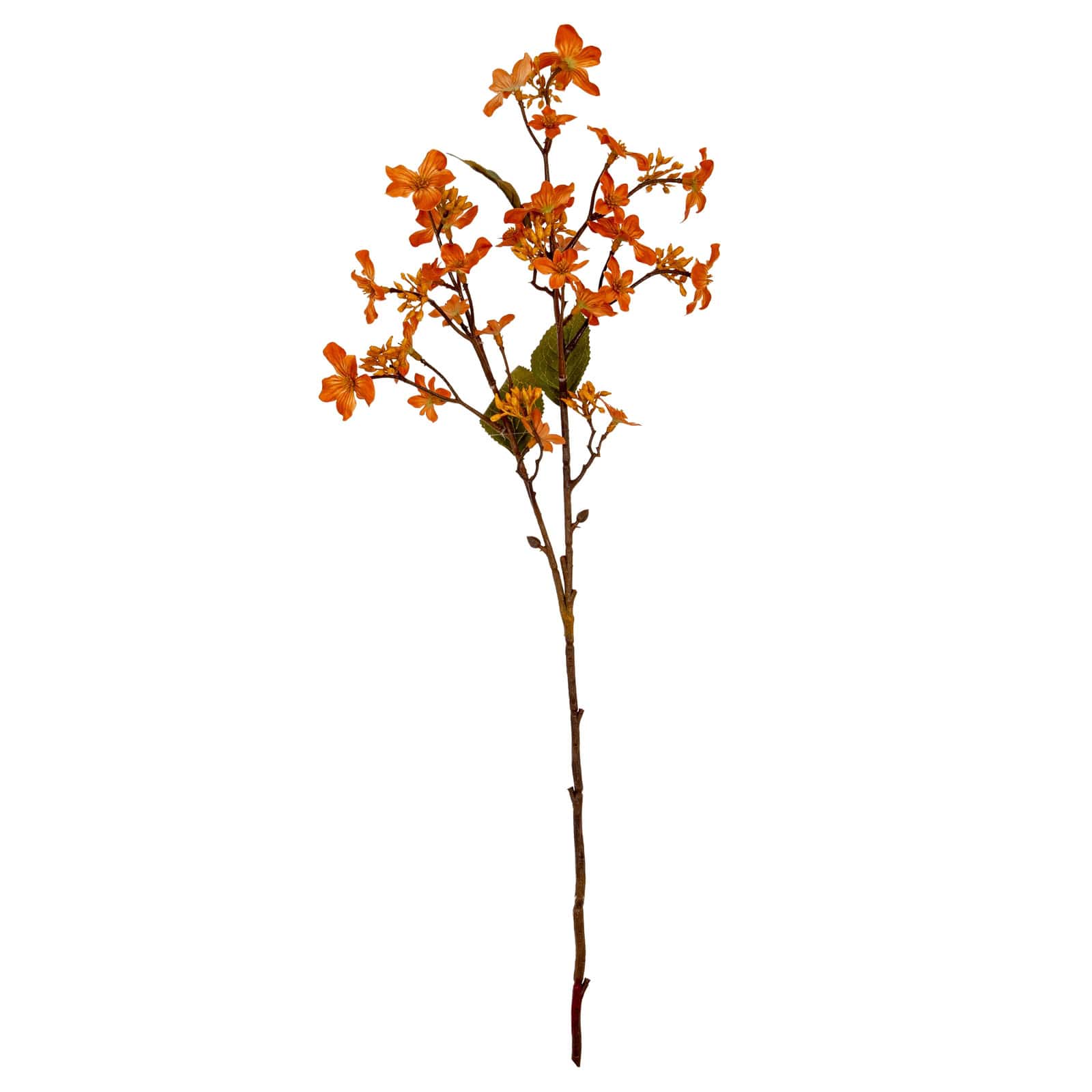 Orange Vernicia Fordii Spray – Material: Plastic