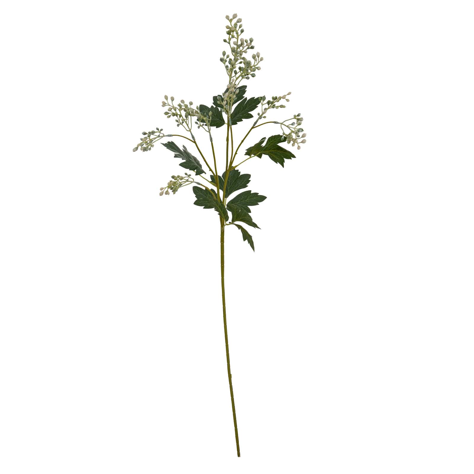 Milk Thistle Bud Spray – Additional view