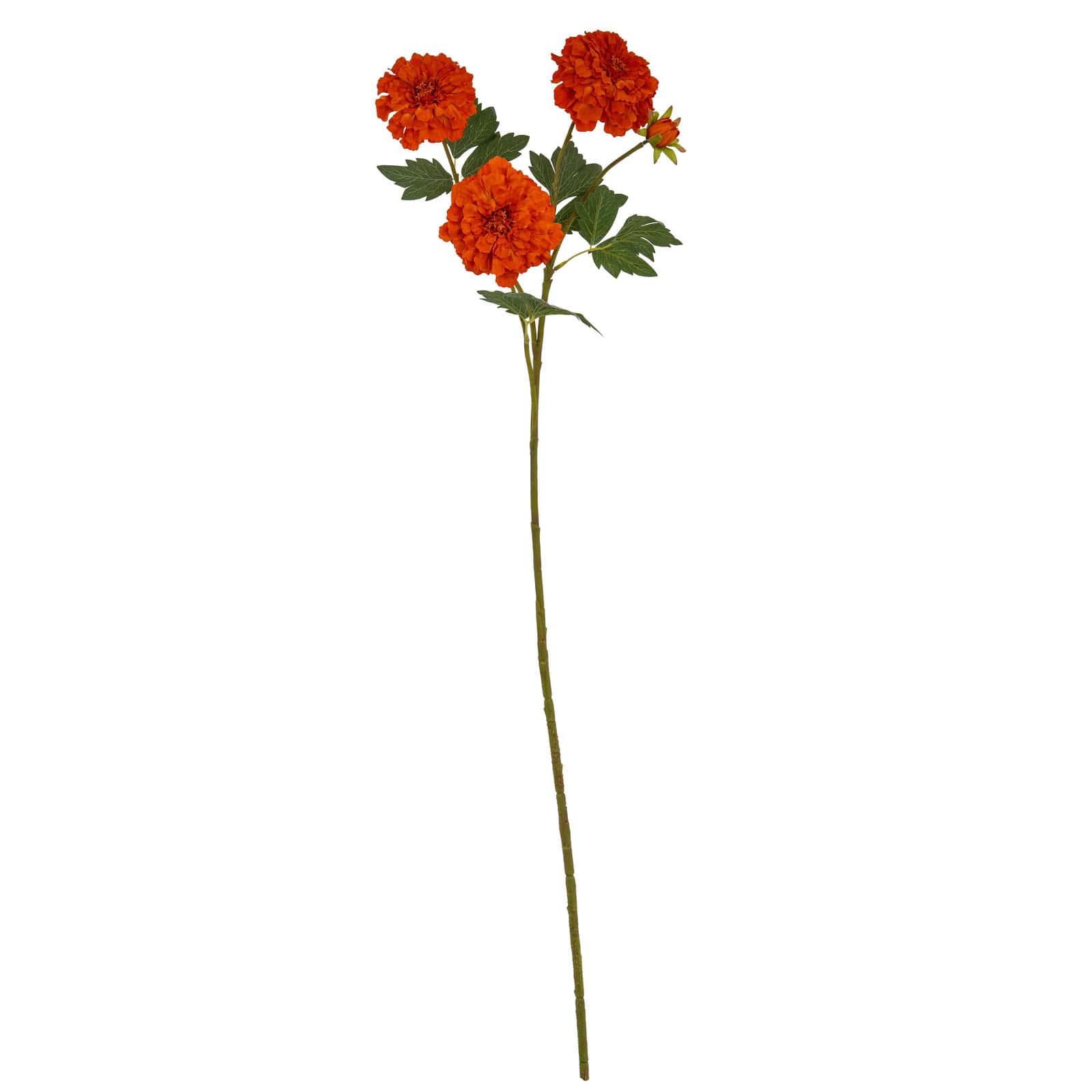 Orange African Marigold Large Spray – Colour: Red