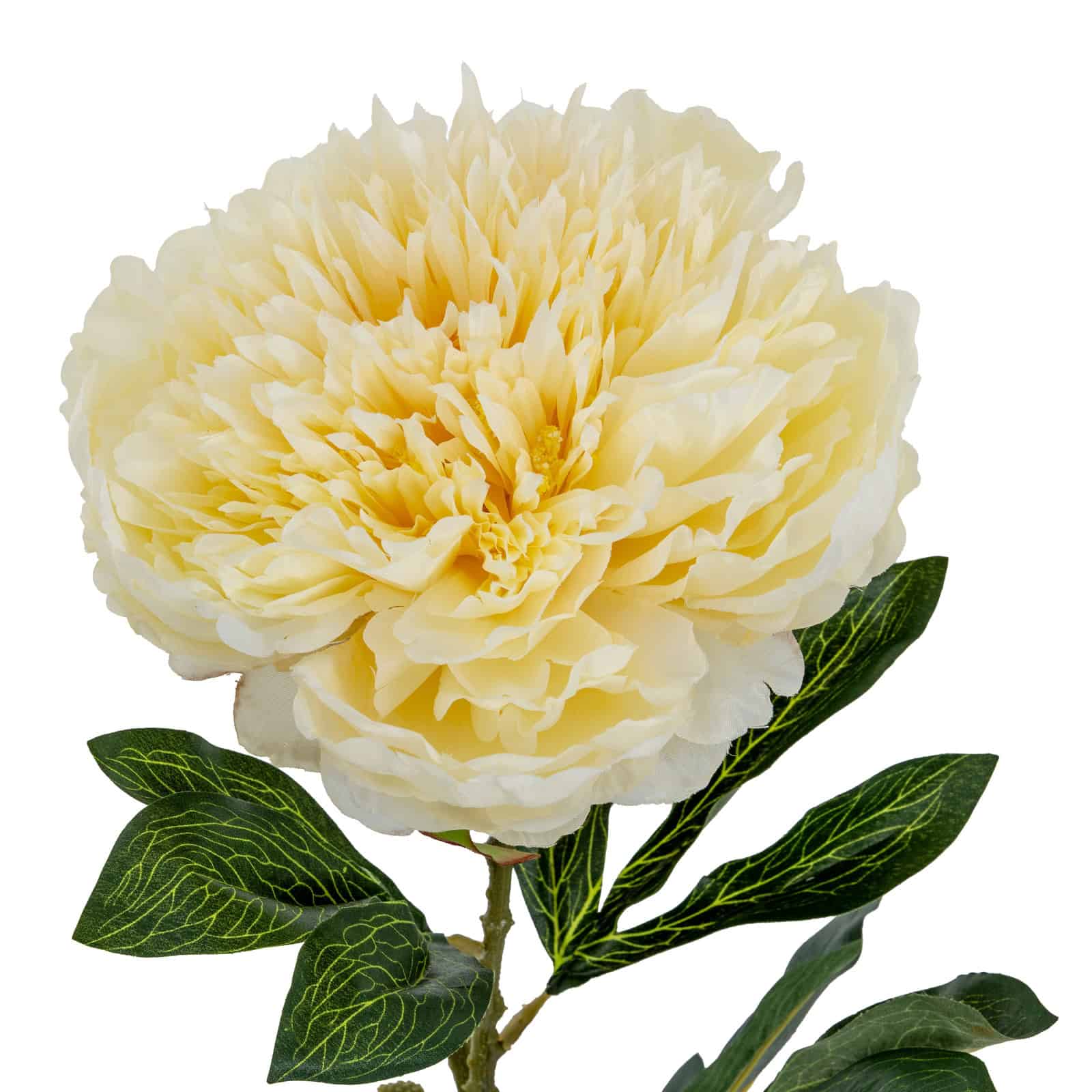 Large Buttermilk Double Peony Stem – Material: Plastic