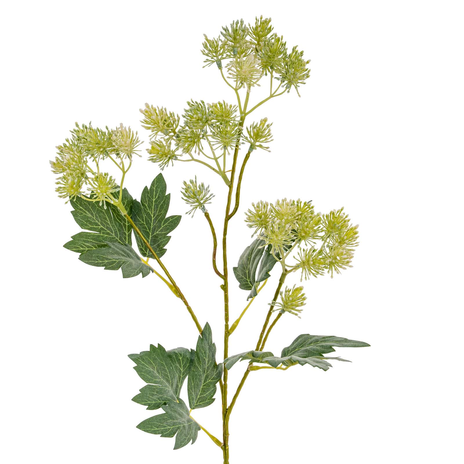 Green French Meadow Spray – Additional view