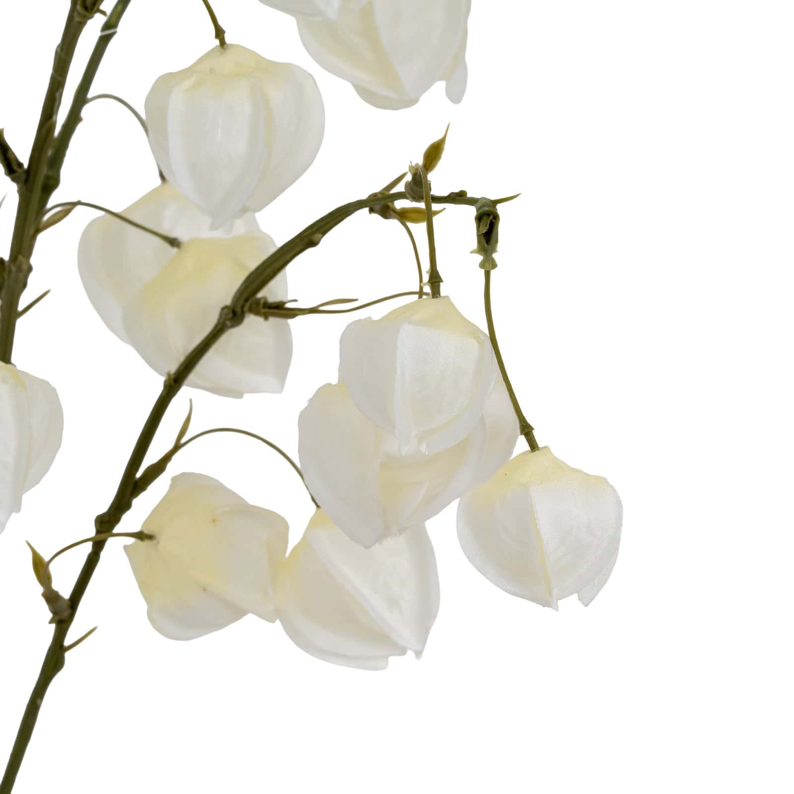 White Physalis Spray – Additional view