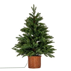 Norway Fir Pre-Lit LLED 300L Fir Tree In Rattan Pot